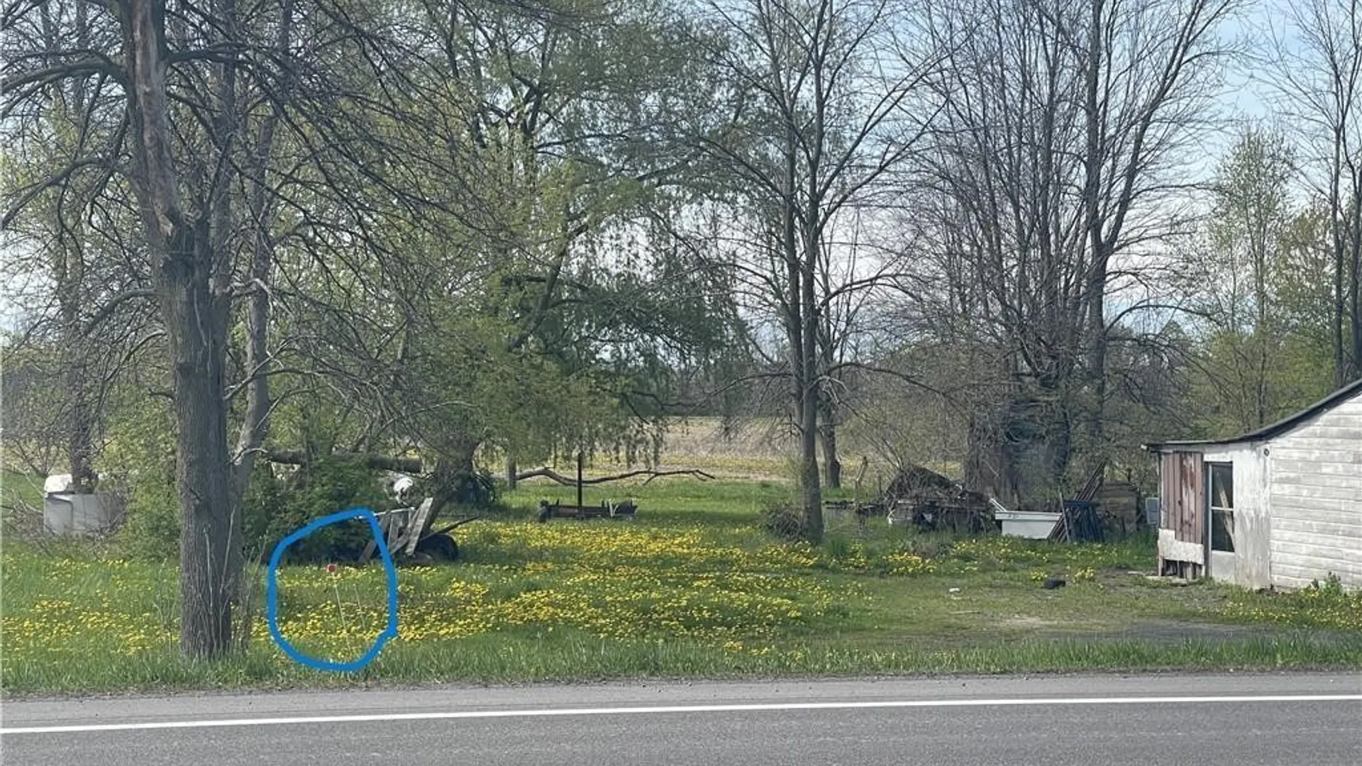 Property at 00 Route 318, Junius, NY 13165 8