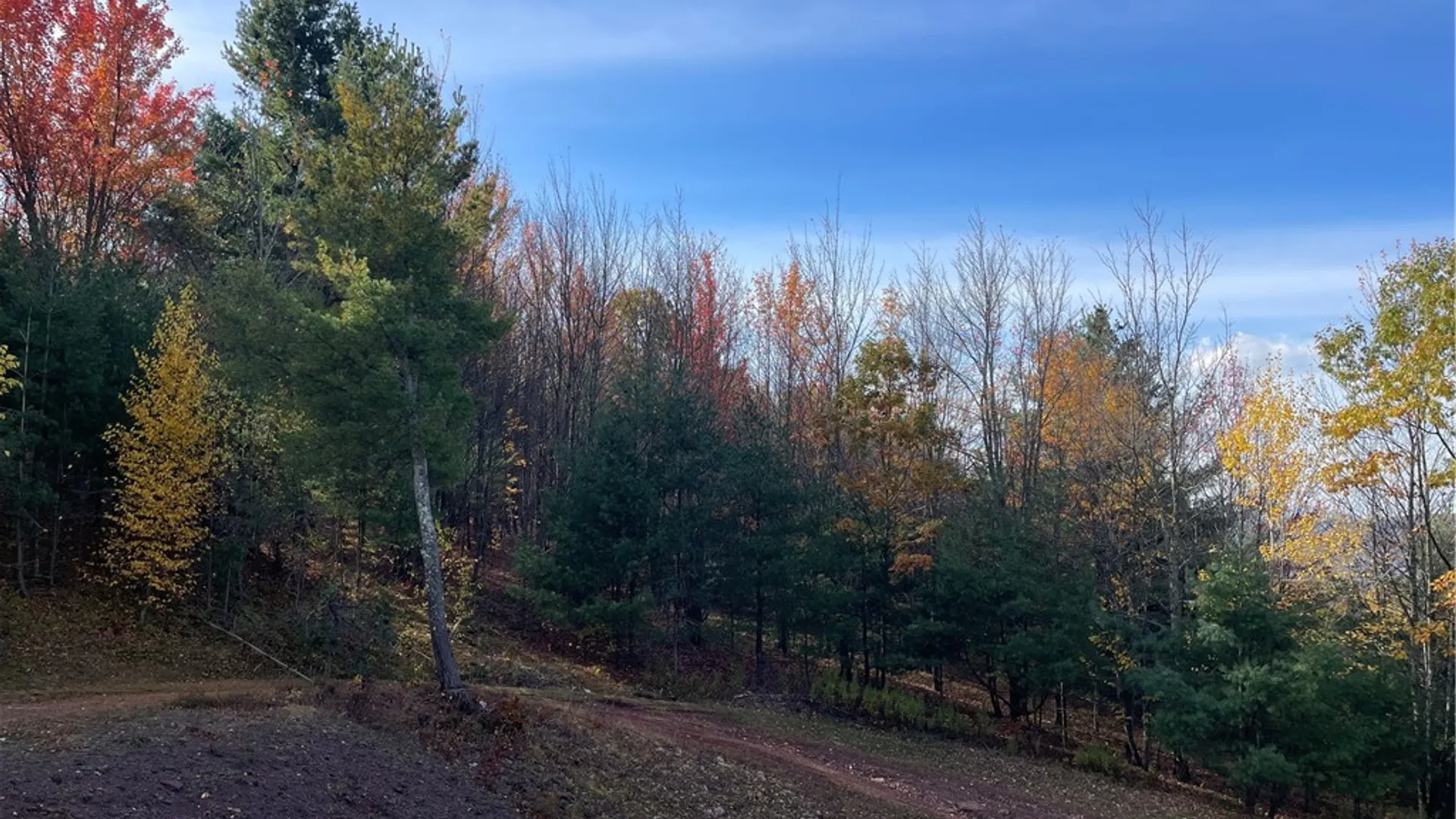 Property at 322 Westview Road, Harpersfield, NY 13788 10