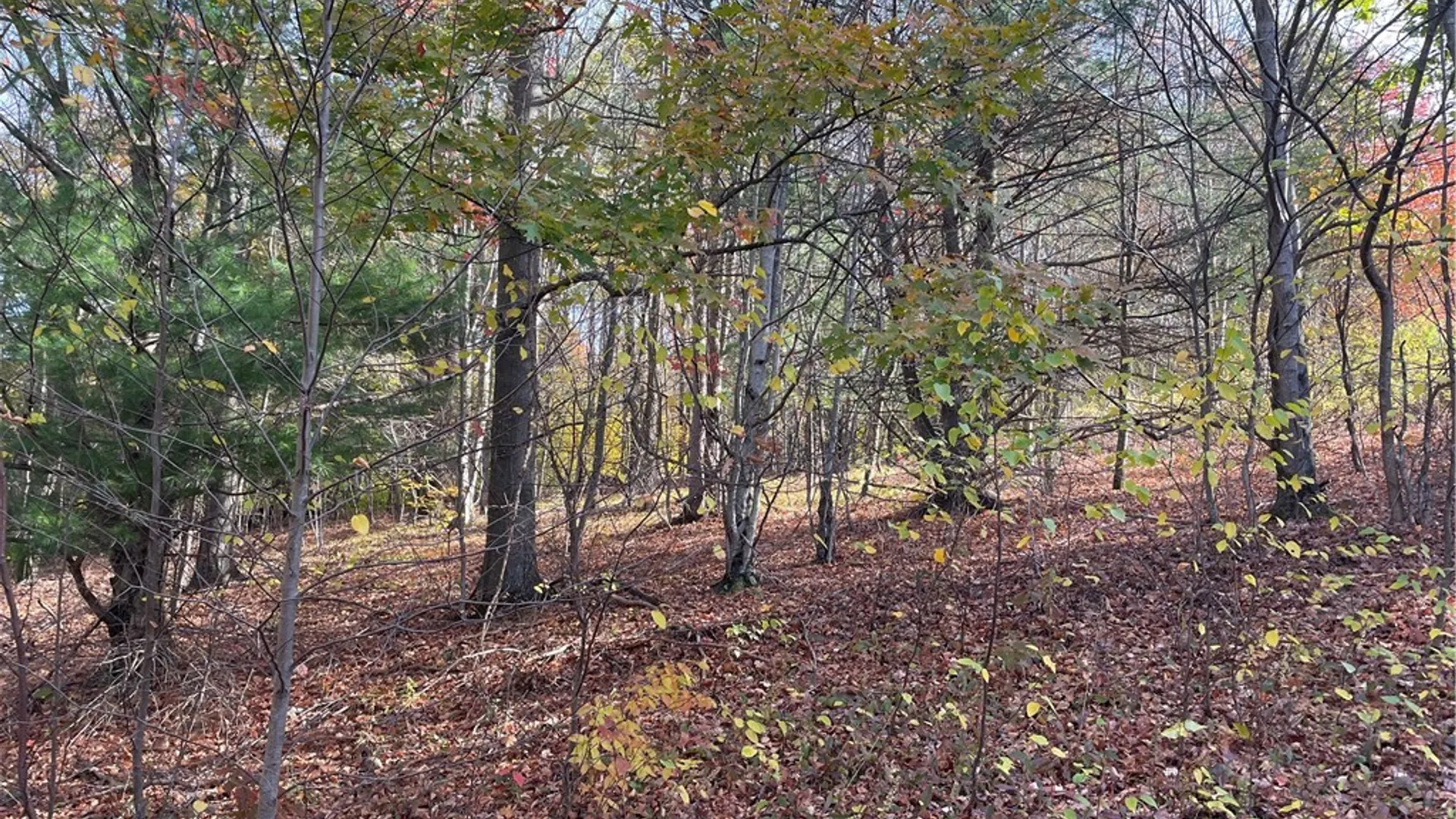 Property at 322 Westview Road, Harpersfield, NY 13788 28