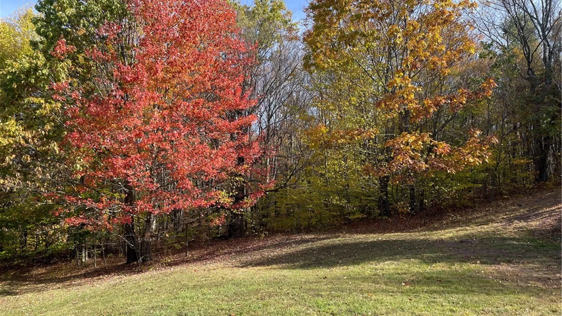 Property at 322 Westview Road, Harpersfield, NY 13788 5