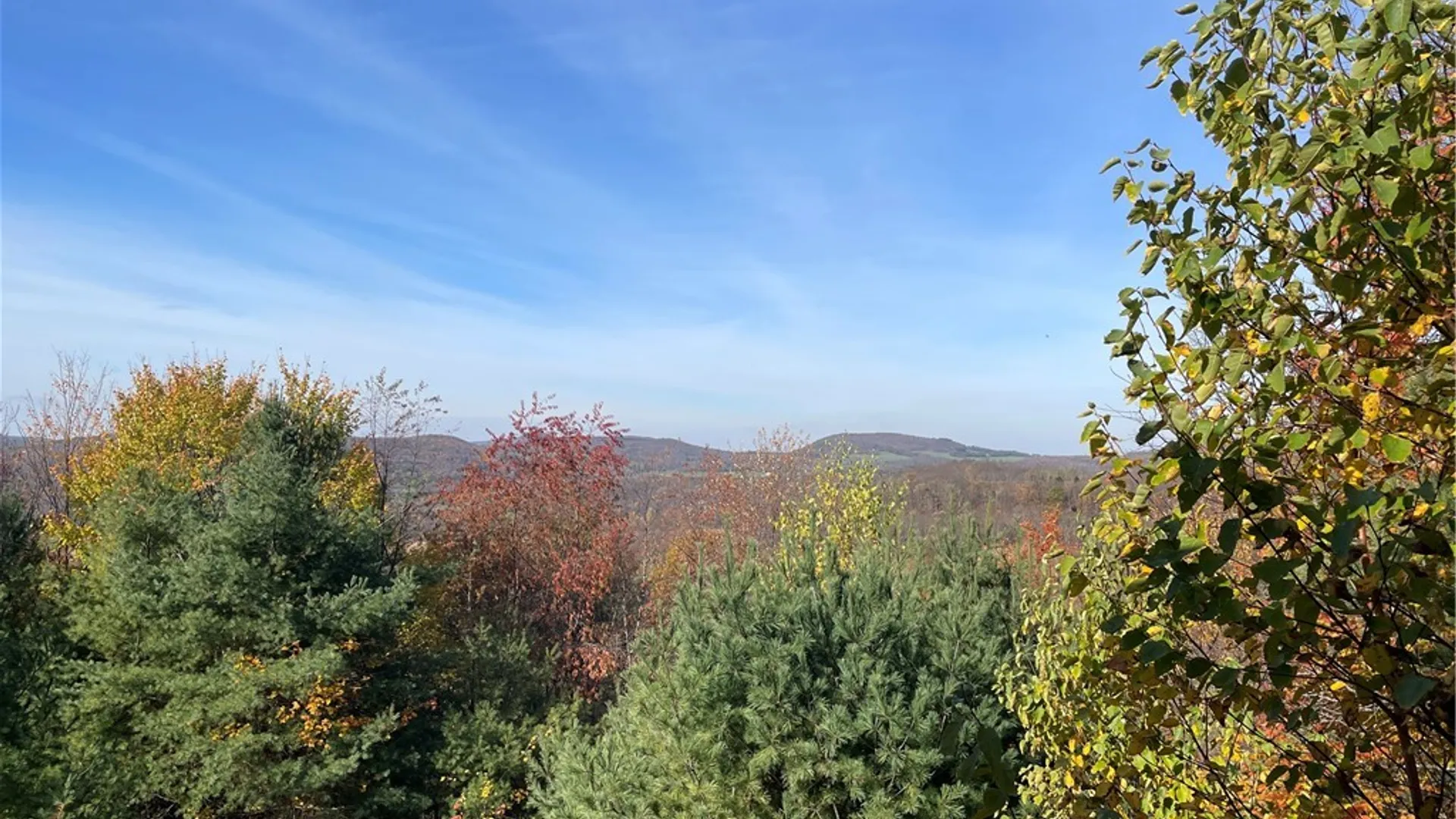 Property at 322 Westview Road, Harpersfield, NY 13788 9