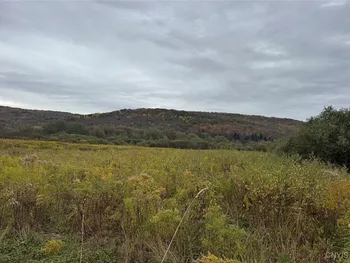 Property at Route 446, Hinsdale, NY 14743