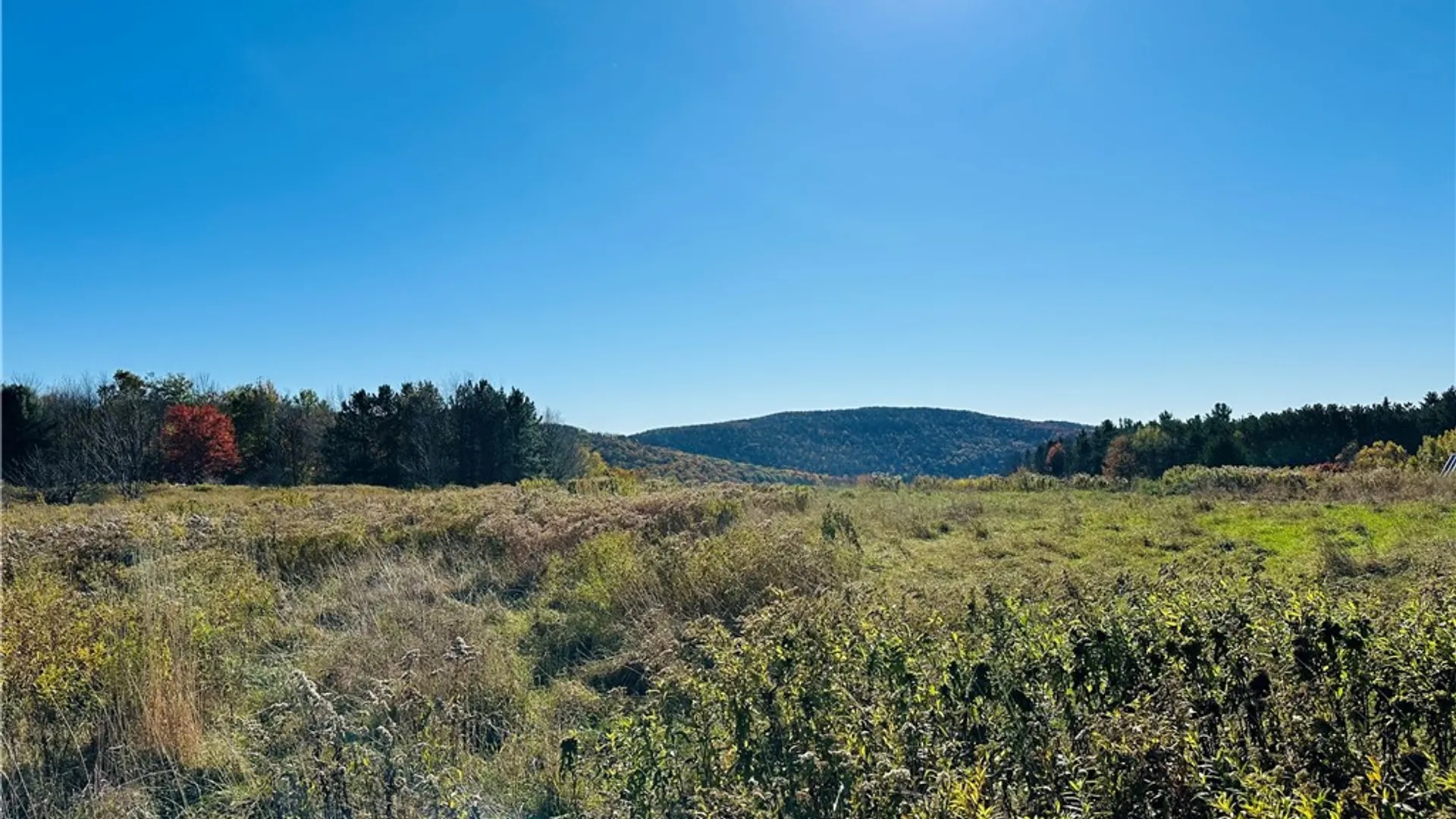 Property at 0 Macgibbon Road, Hamden, NY 13856 2