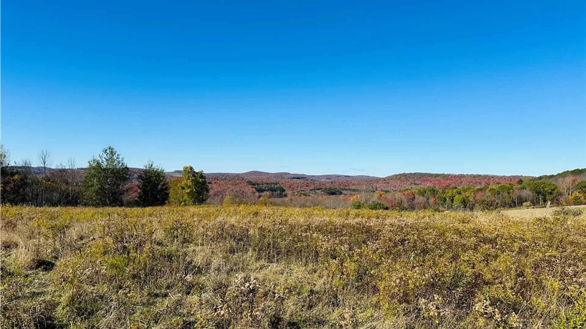 Property at 0 Macgibbon Road, Hamden, NY 13856 3