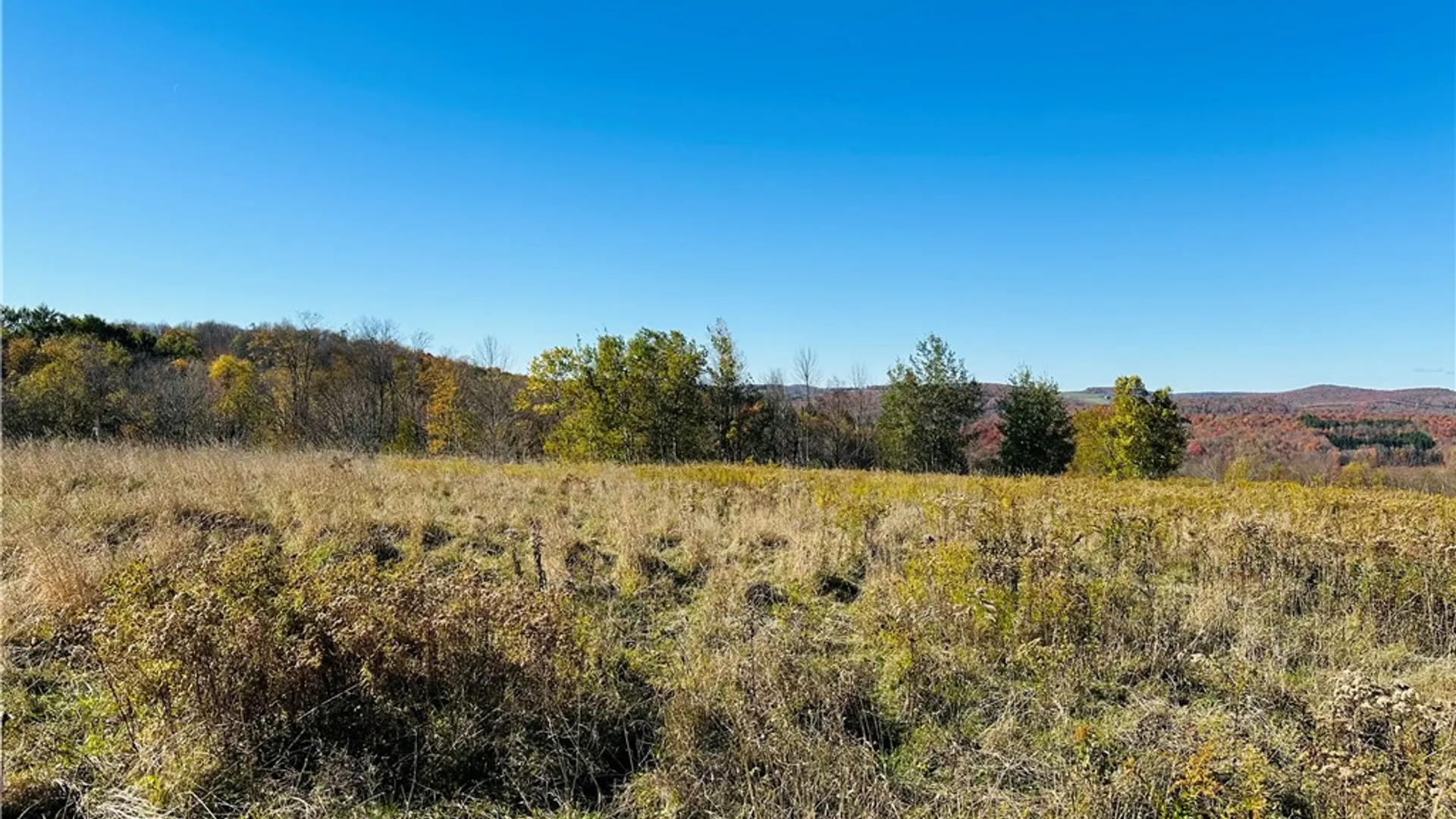 Property at 0 Macgibbon Road, Hamden, NY 13856 4