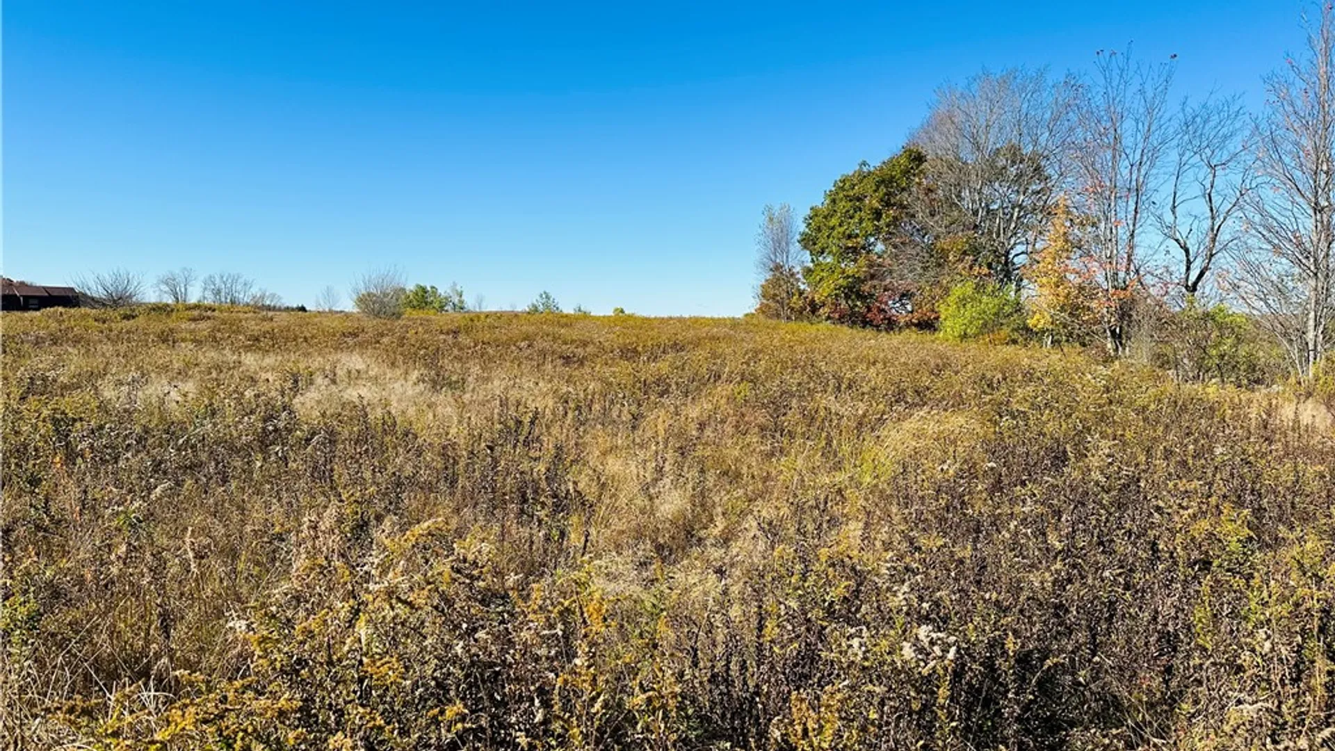 Property at 0 Macgibbon Road, Hamden, NY 13856 6