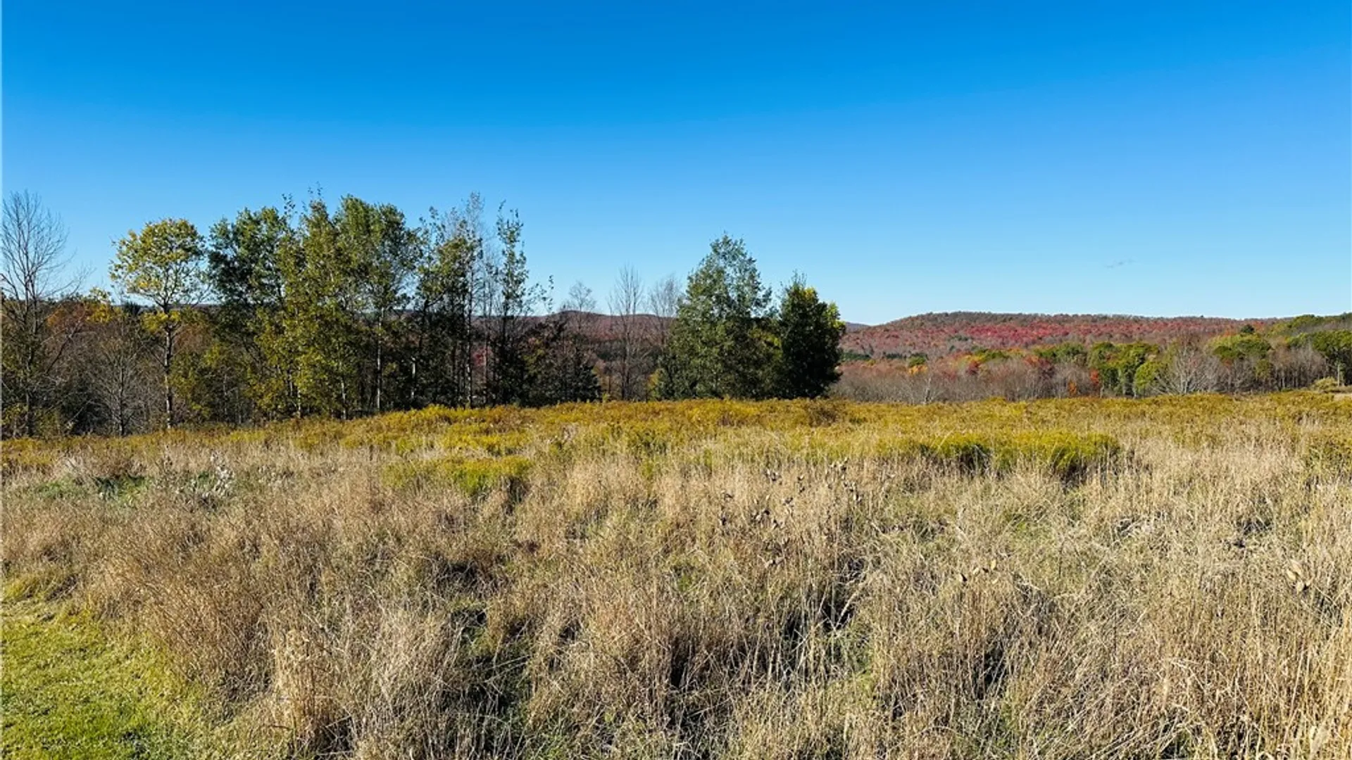 Property at 0 Macgibbon Road, Hamden, NY 13856 7