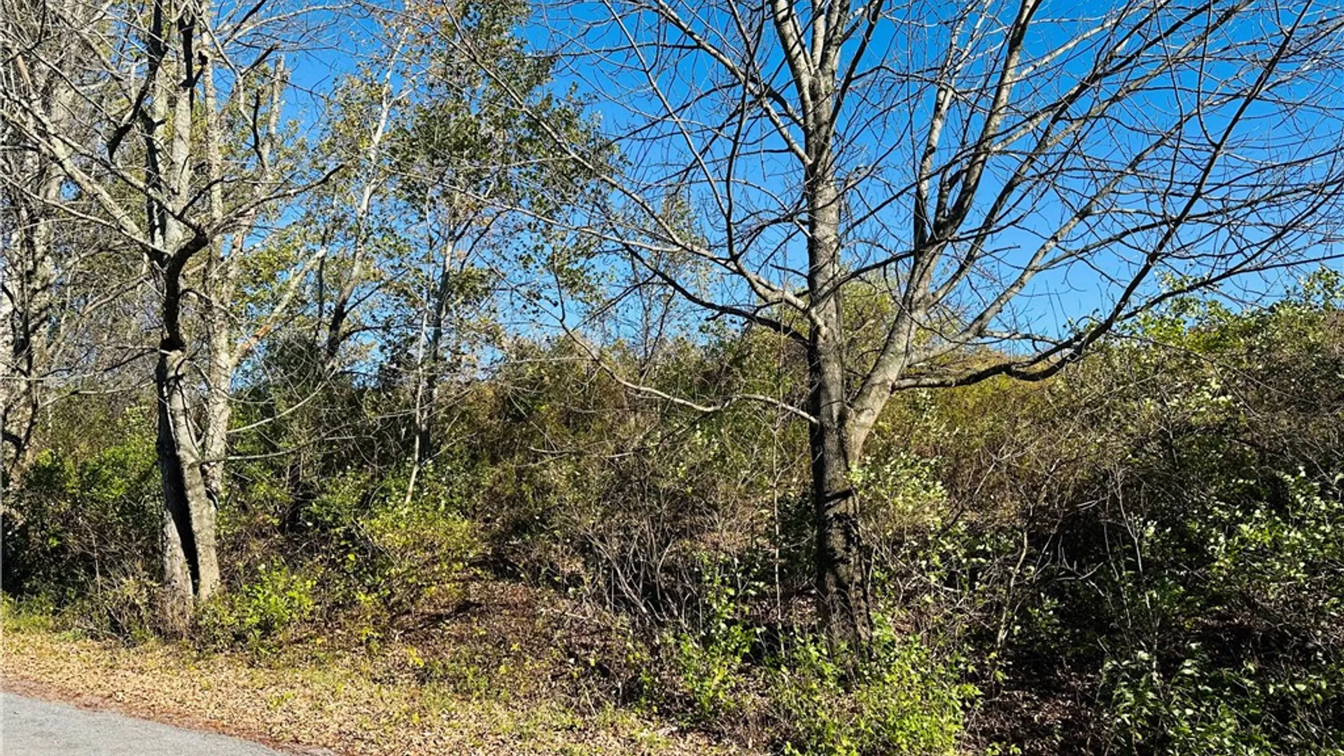 Property at 0 Macgibbon Road, Hamden, NY 13856 8