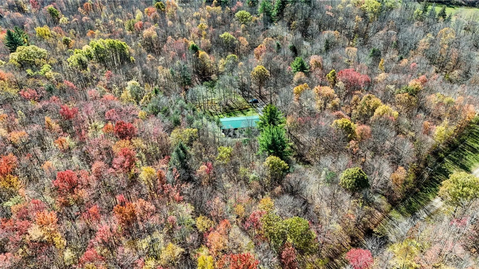 Property at 907 Skip Gray Road, Colchester, NY 13752 5