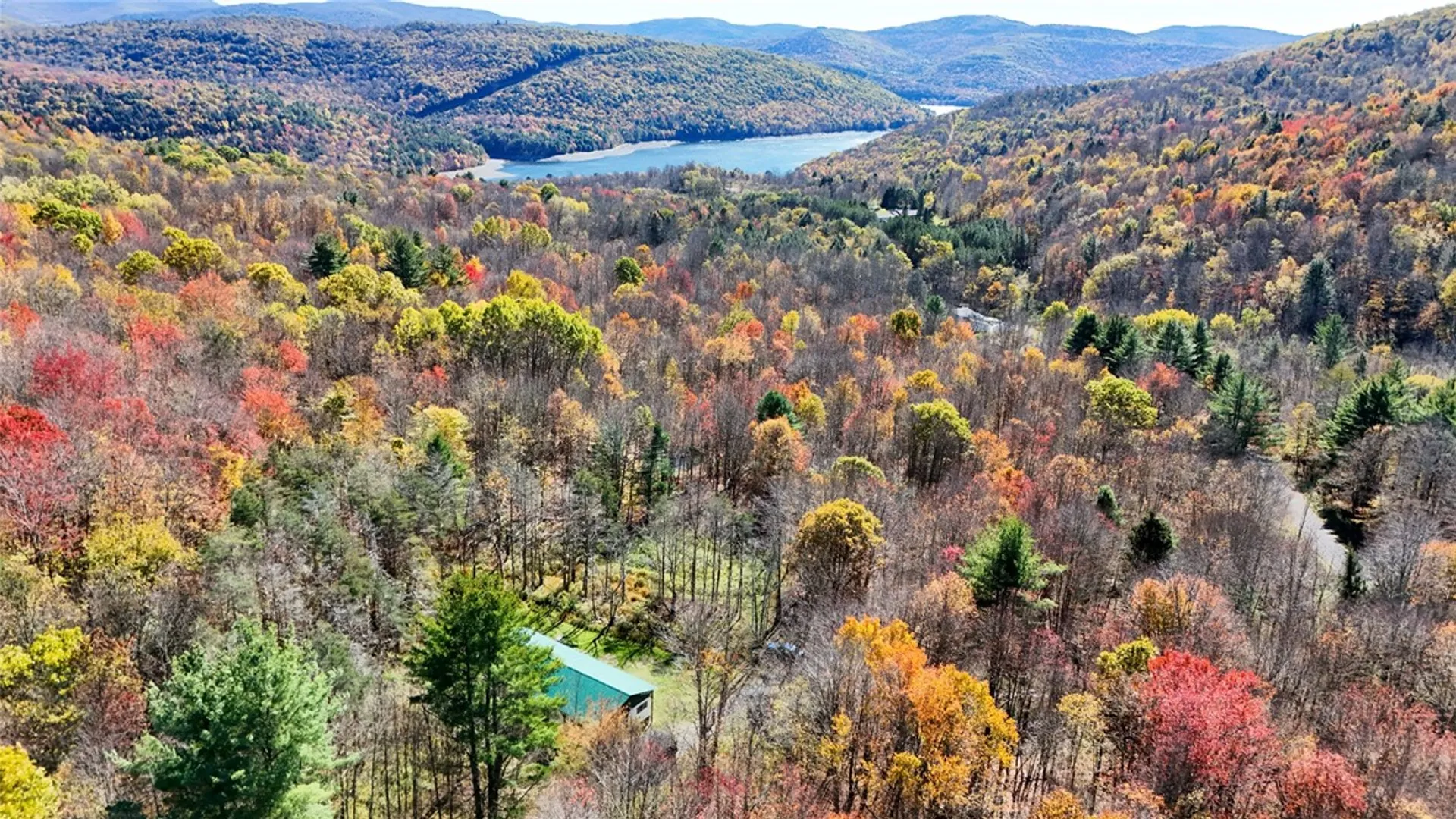 Property at 907 Skip Gray Road, Colchester, NY 13752 8