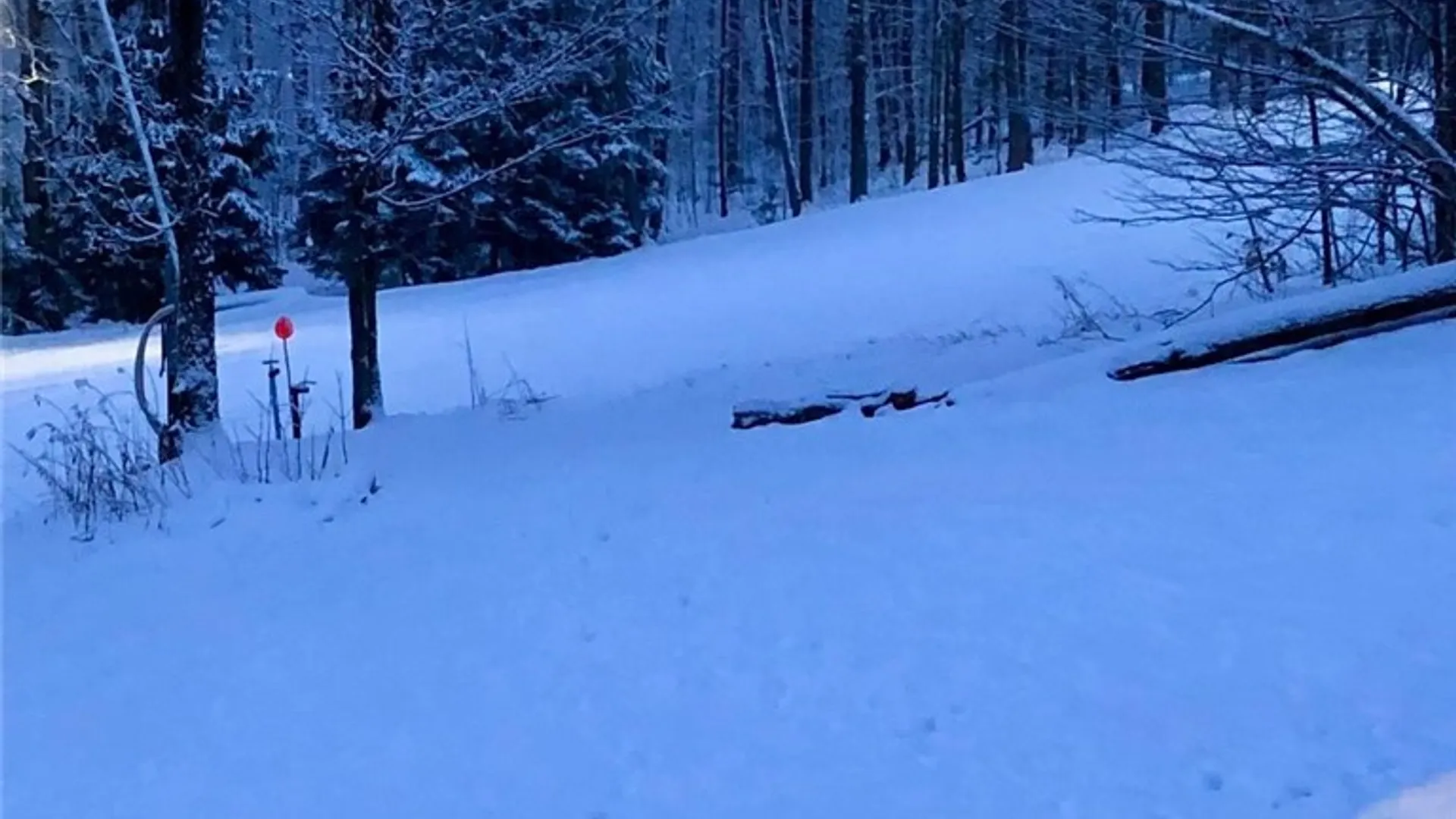 Property at 8270 Canterbury Drive, French Creek, NY 14724 21