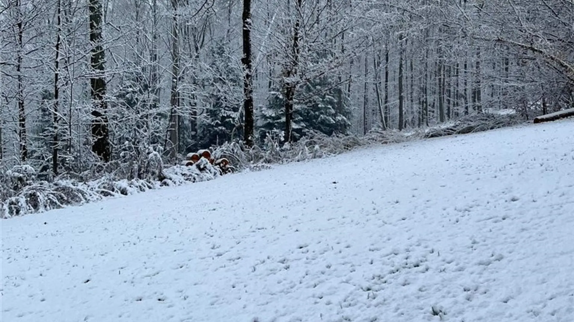 Property at 8270 Canterbury Drive, French Creek, NY 14724 22