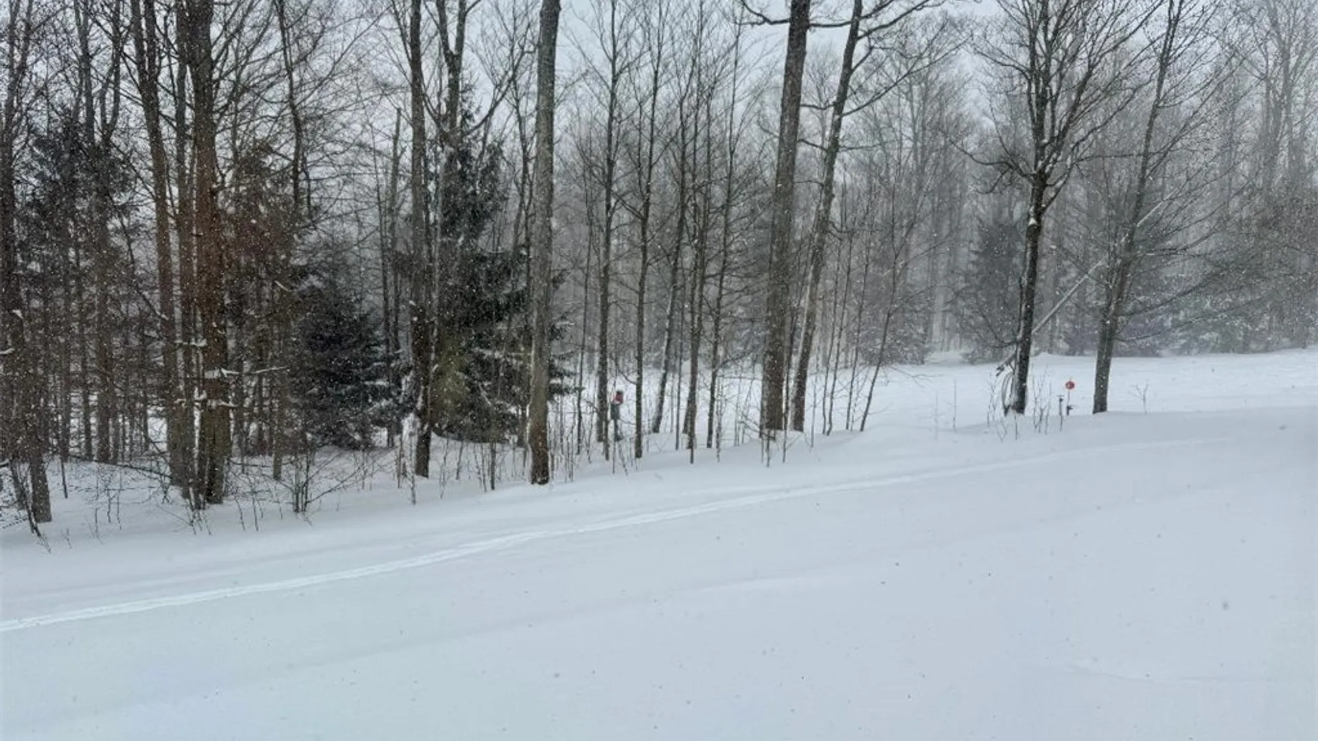 Property at 8270 Canterbury Drive, French Creek, NY 14724 23