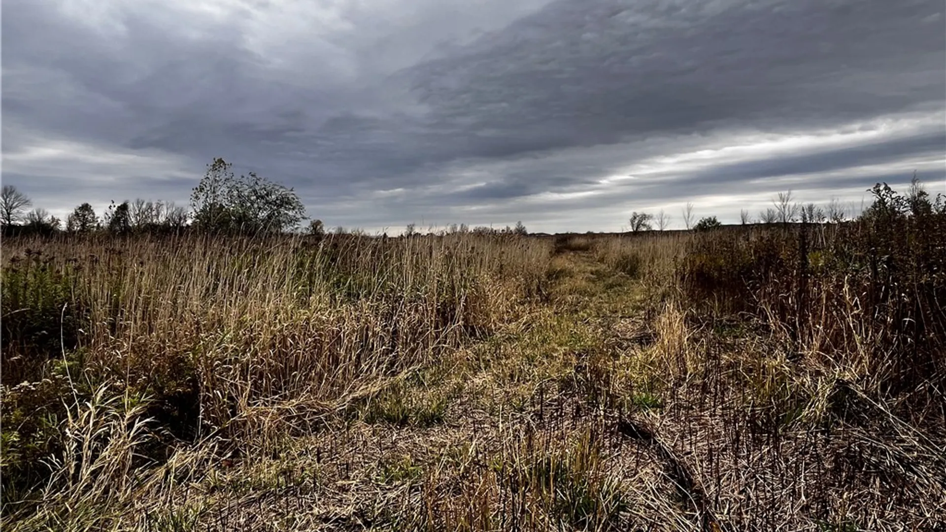 Property at Main Street, Richmond, NY 14471 2