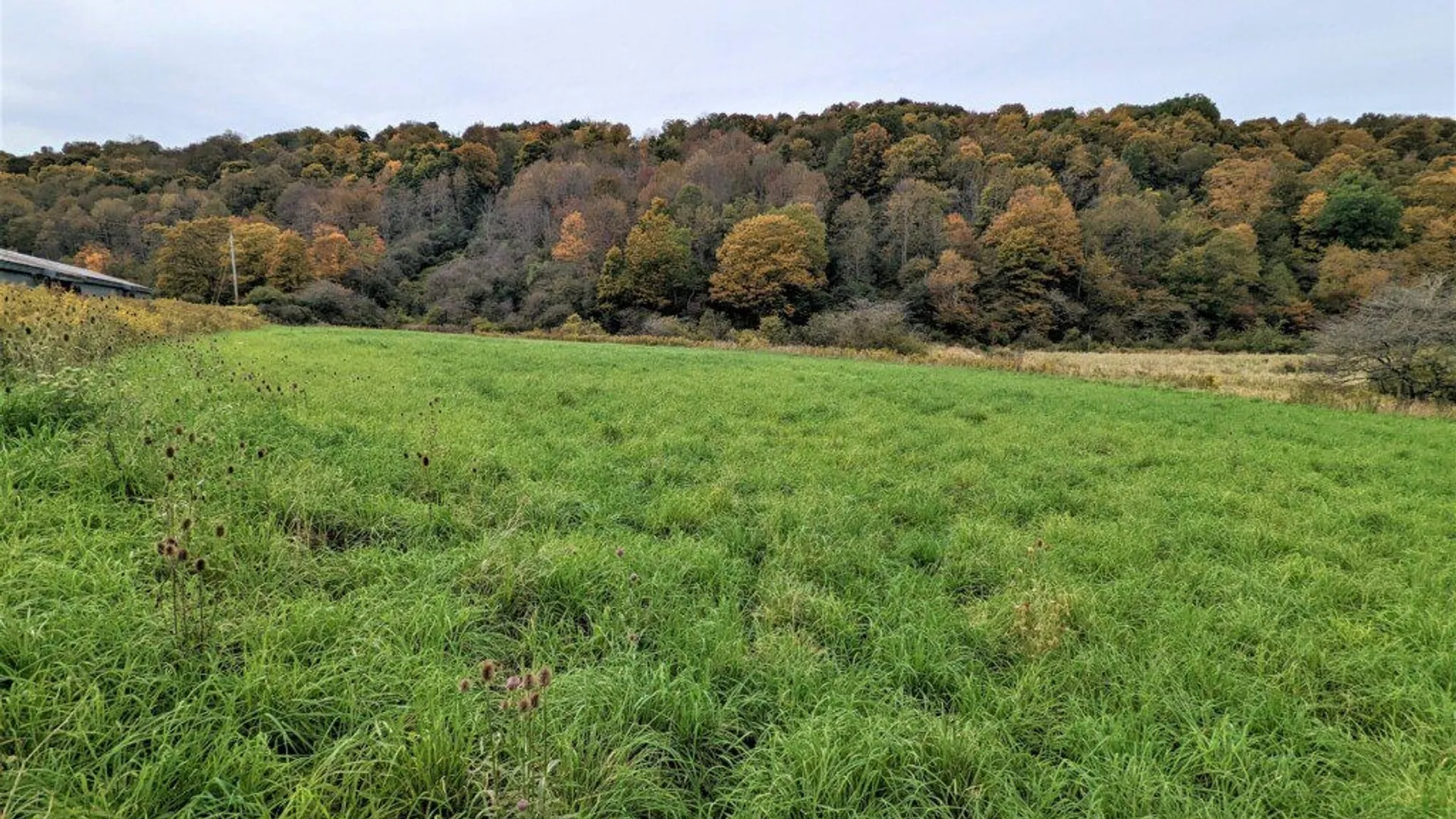 Property at 1191 State Route 248, West Union, NY 14877 16