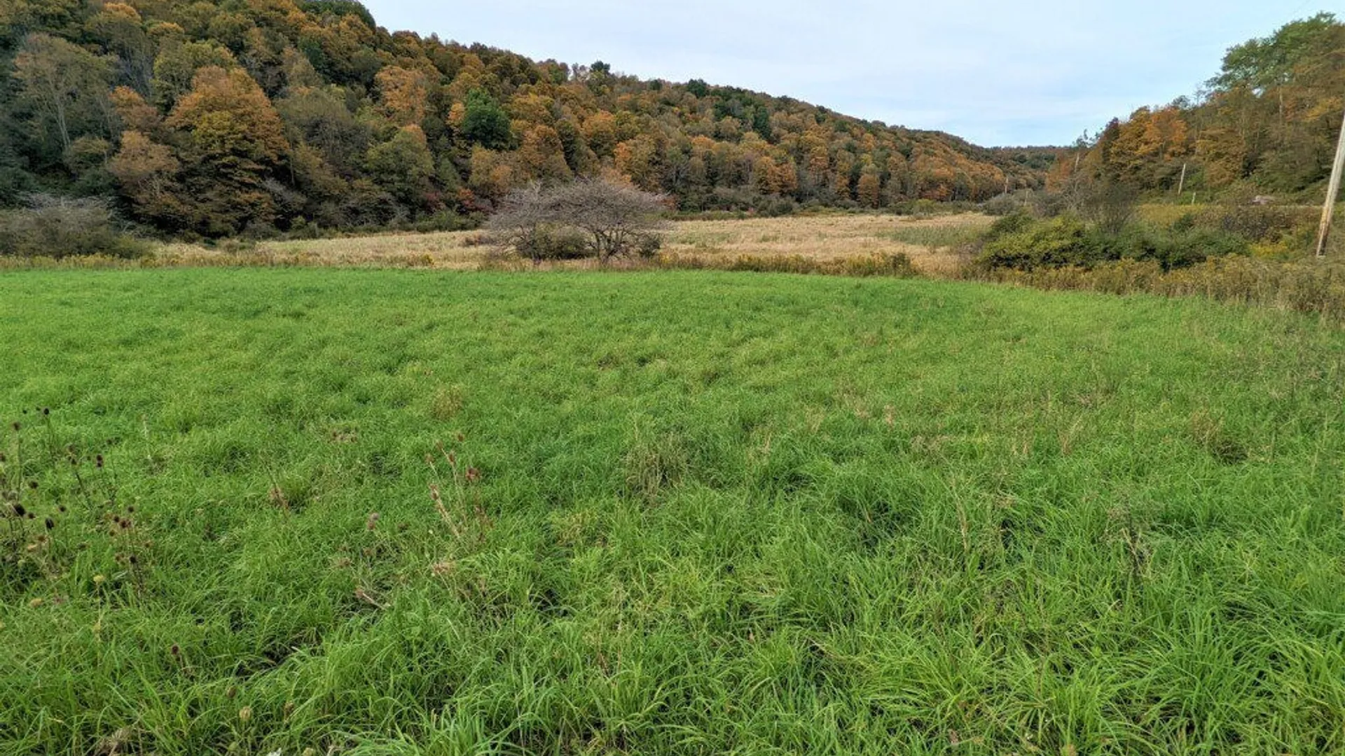 Property at 1191 State Route 248, West Union, NY 14877 3