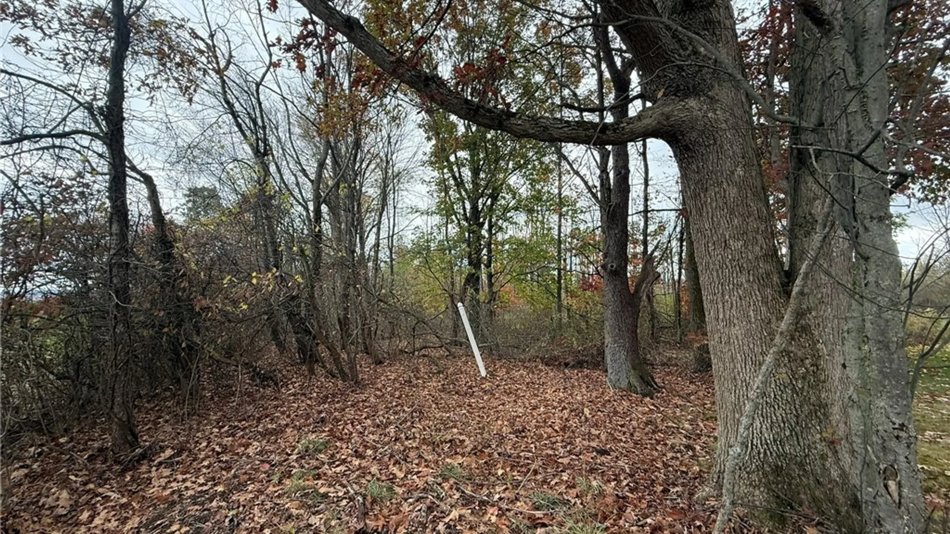Property at Oak Hill Road, Ellicott, NY 14701 10