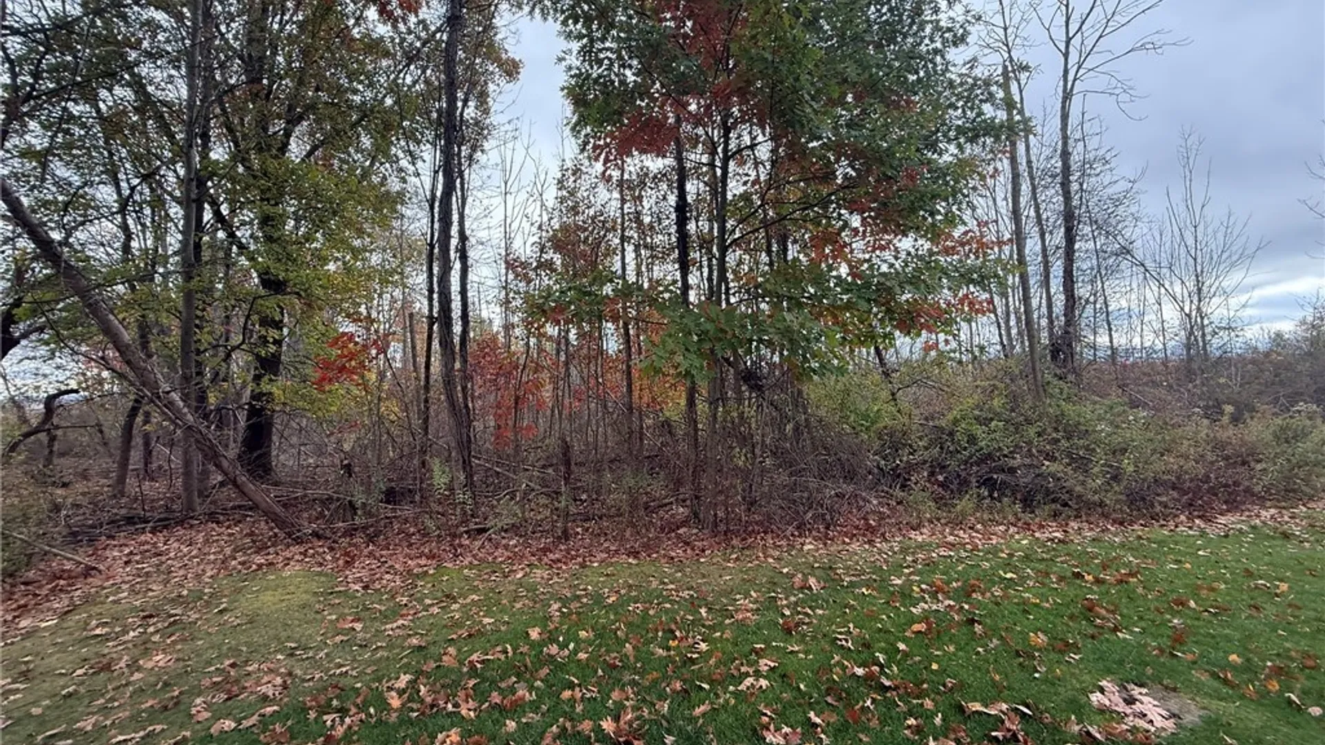 Property at Oak Hill Road, Ellicott, NY 14701 11