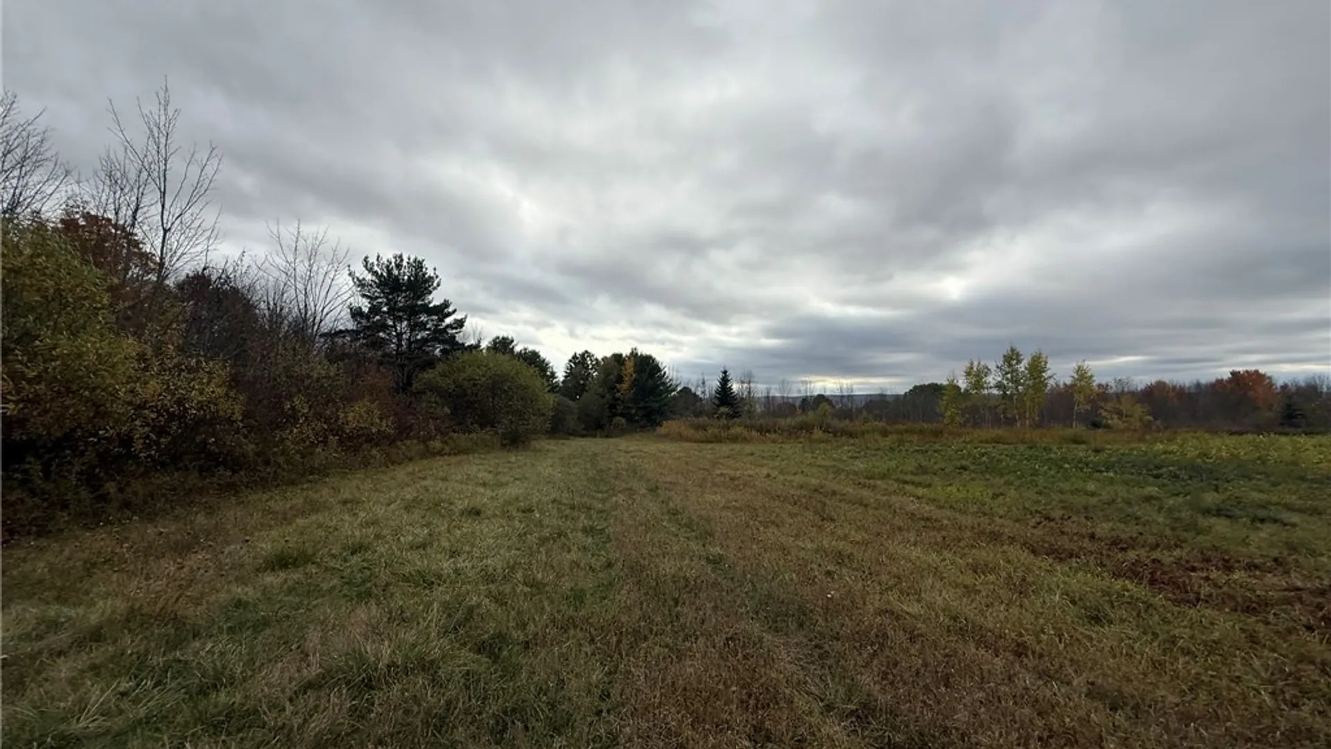 Property at Oak Hill Road, Ellicott, NY 14701 14
