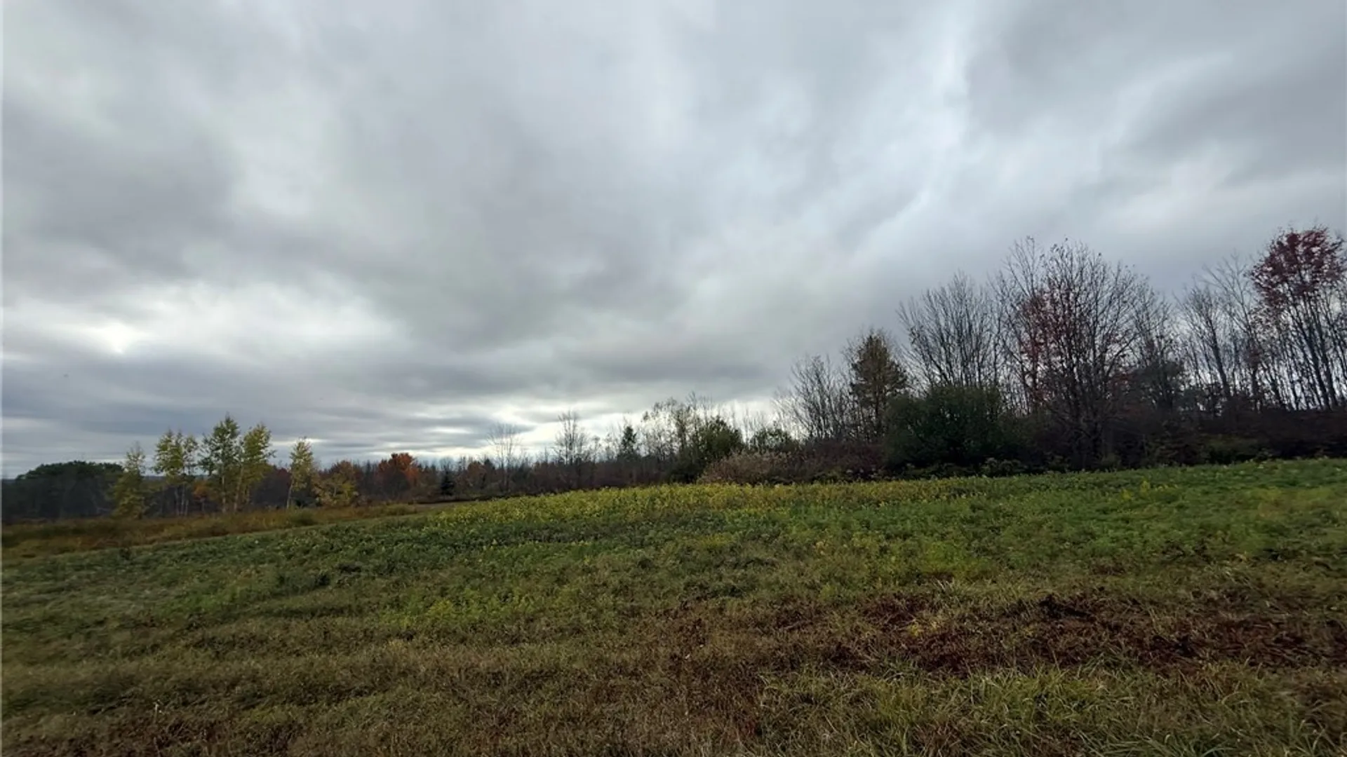 Property at Oak Hill Road, Ellicott, NY 14701 15