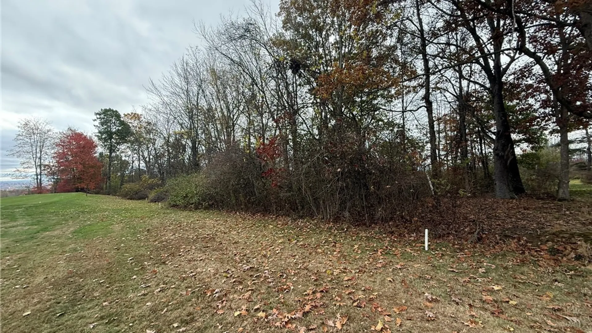 Property at Oak Hill Road, Ellicott, NY 14701 7