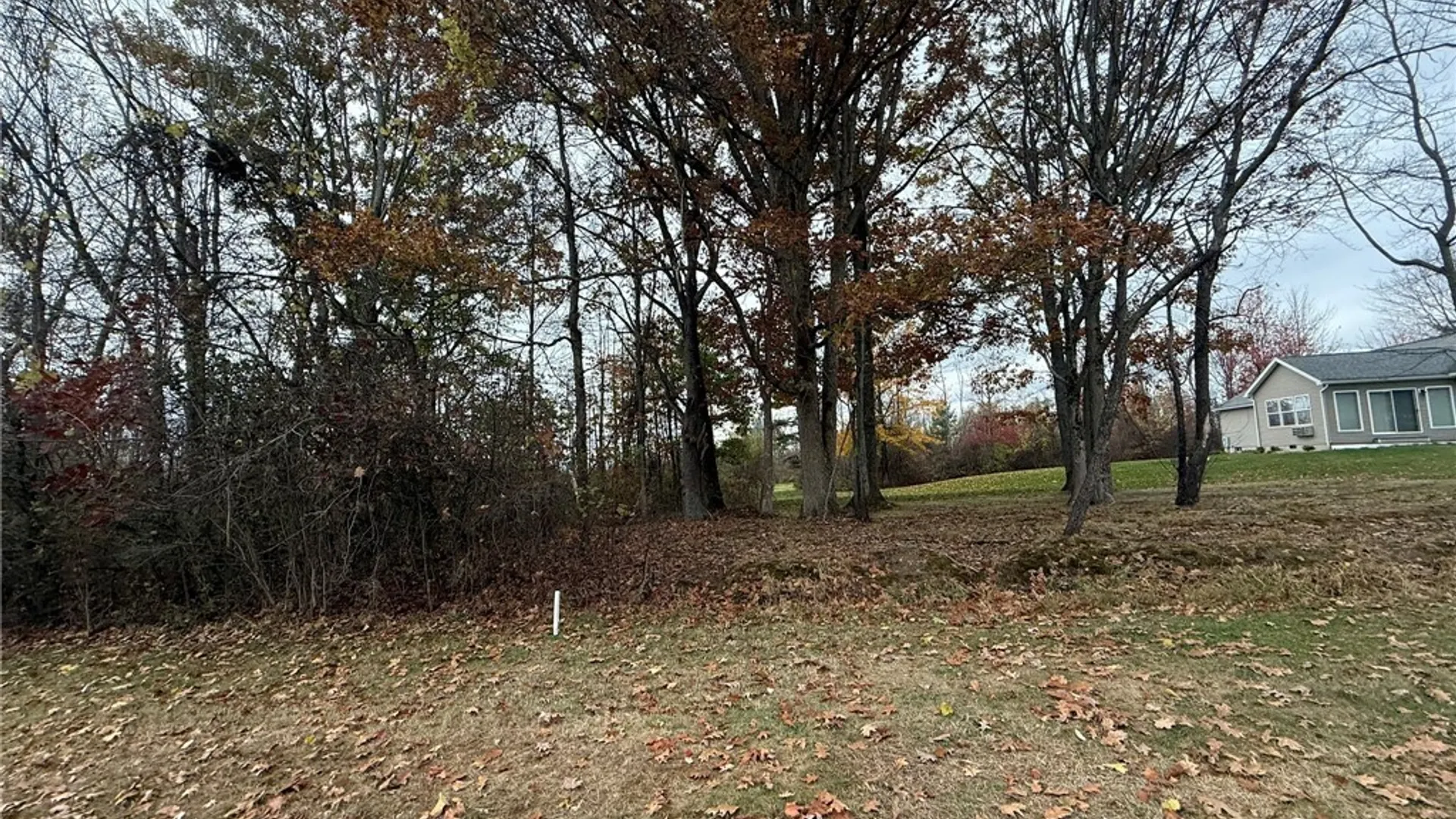 Property at Oak Hill Road, Ellicott, NY 14701 8