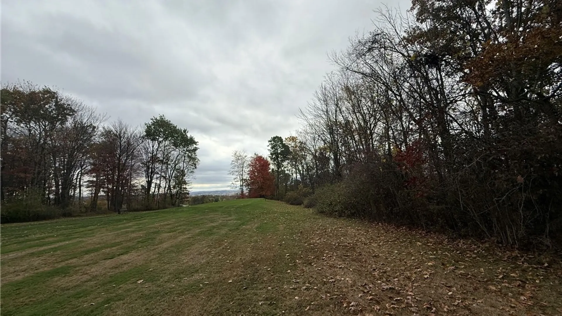 Property at Oak Hill Road, Ellicott, NY 14701 9