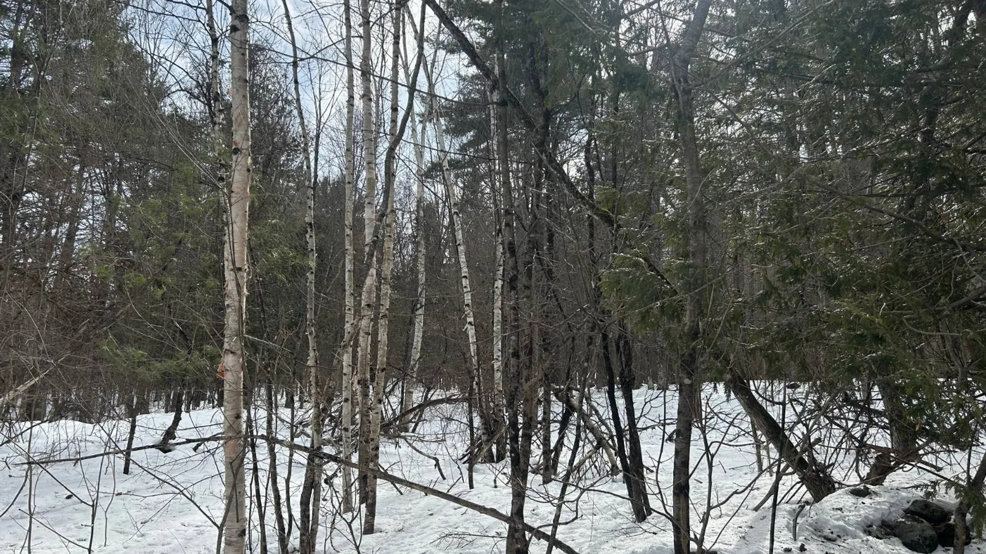 Property at L24.000 Hogback Road, Essex, NY 12928 2