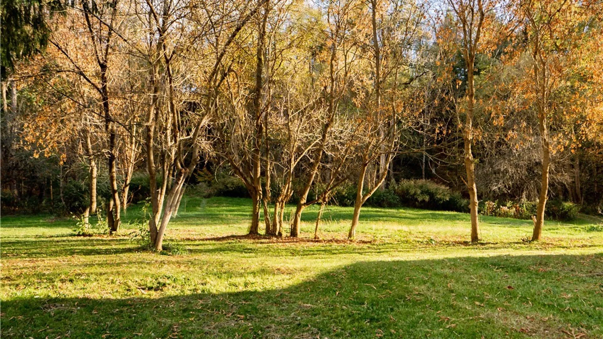 Property at 2627 State Route 168, German Flatts, NY 13407 26