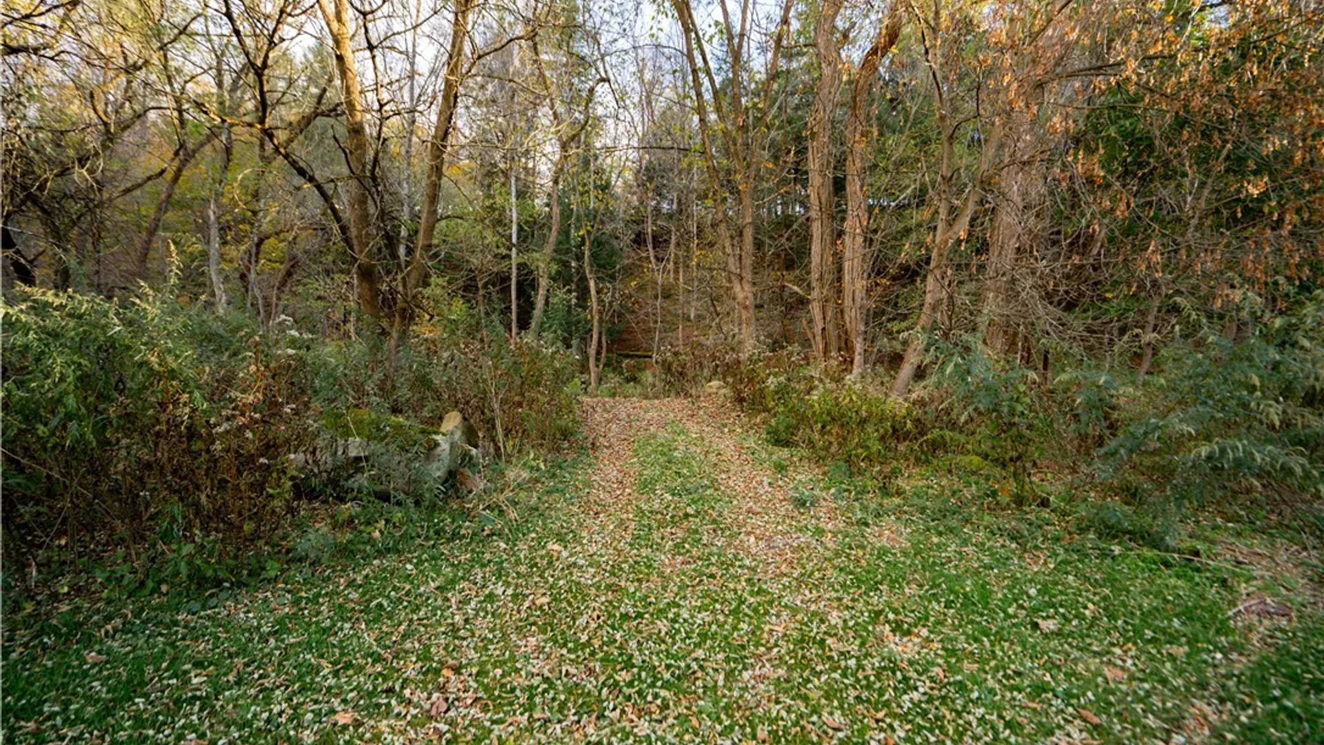 Property at 2627 State Route 168, German Flatts, NY 13407 34