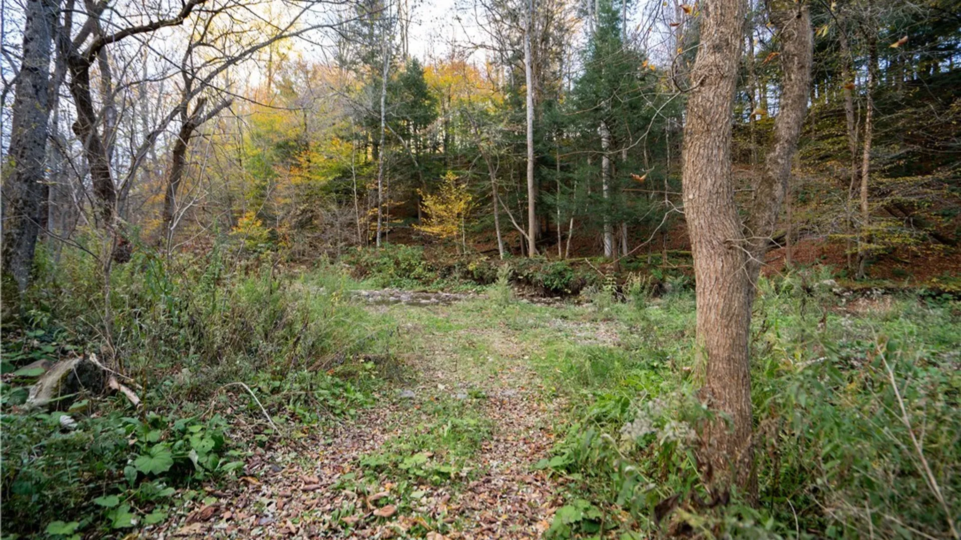 Property at 2627 State Route 168, German Flatts, NY 13407 35