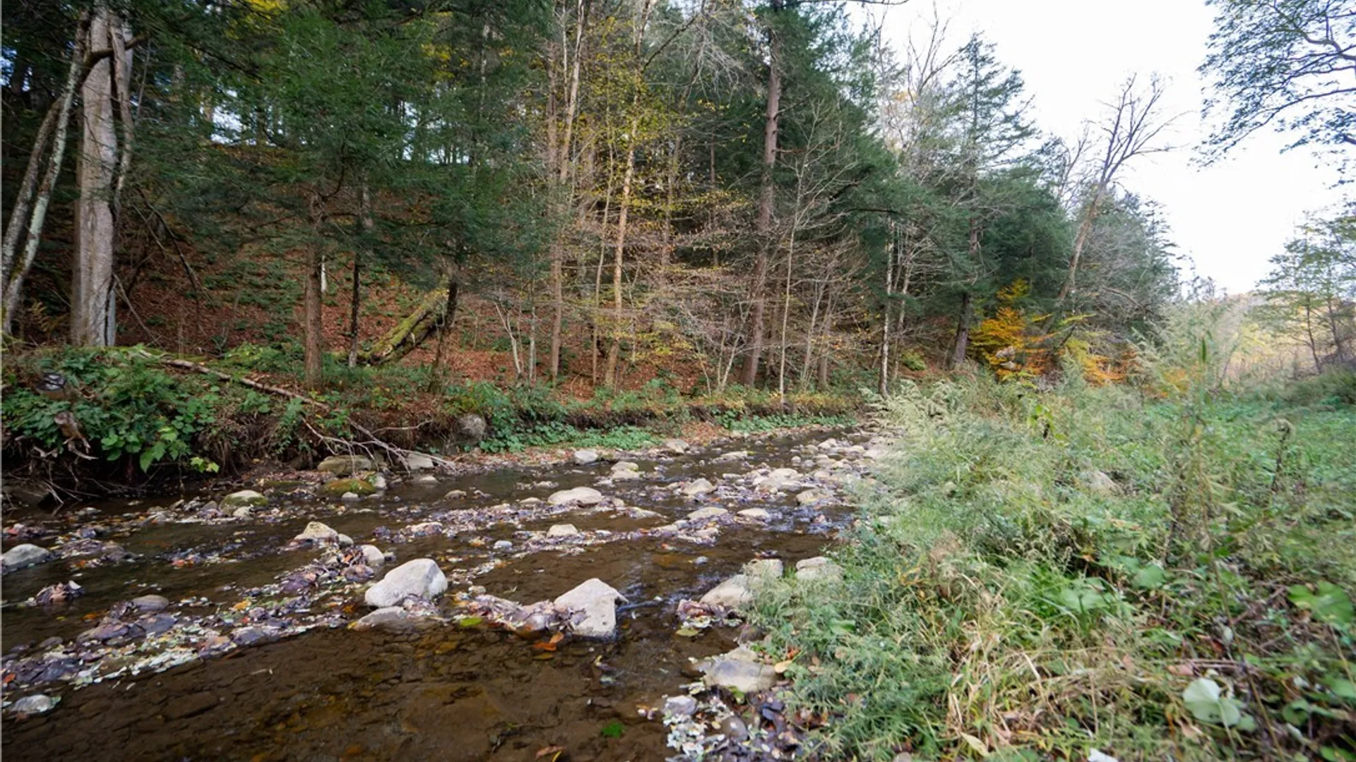 Property at 2627 State Route 168, German Flatts, NY 13407 36