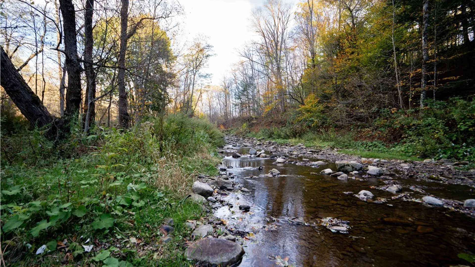 Property at 2627 State Route 168, German Flatts, NY 13407 37