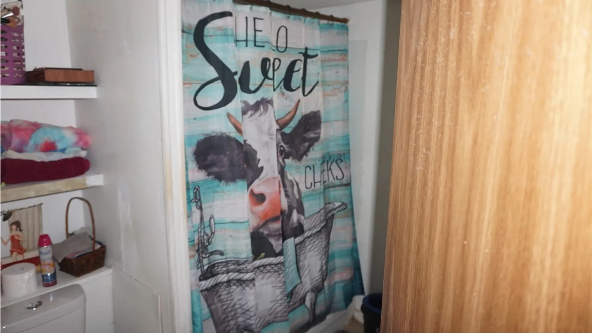 Property at 100 Pioneer Lane, Yorkshire, NY 14042 12