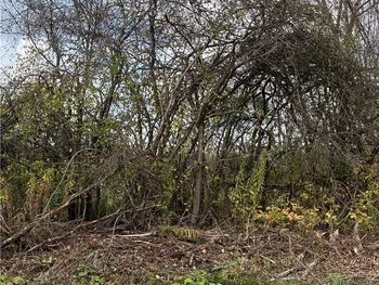 Hinds Rd - Lot #3 - Blue, Pamelia, NY 13601