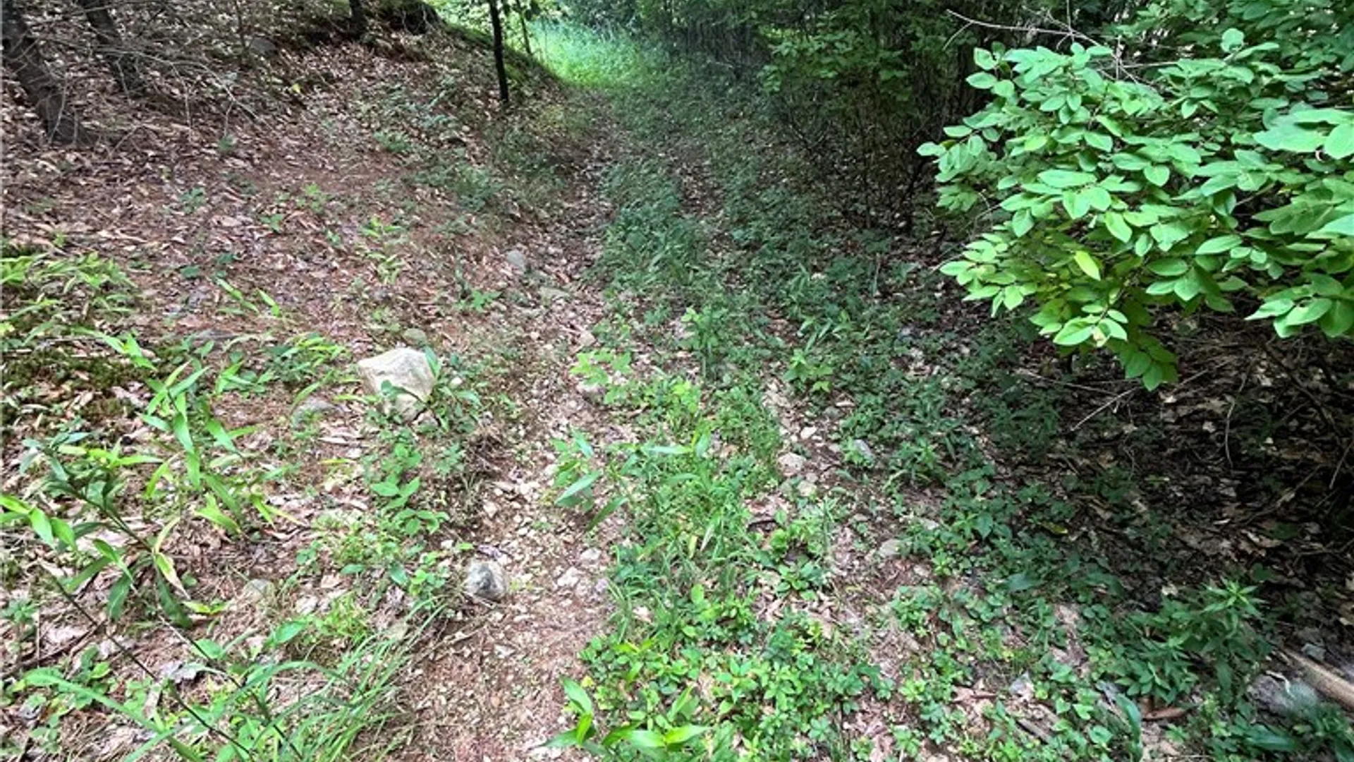 Property at 270 Collins Gifford Valley Road, Northampton, NY 12134 10