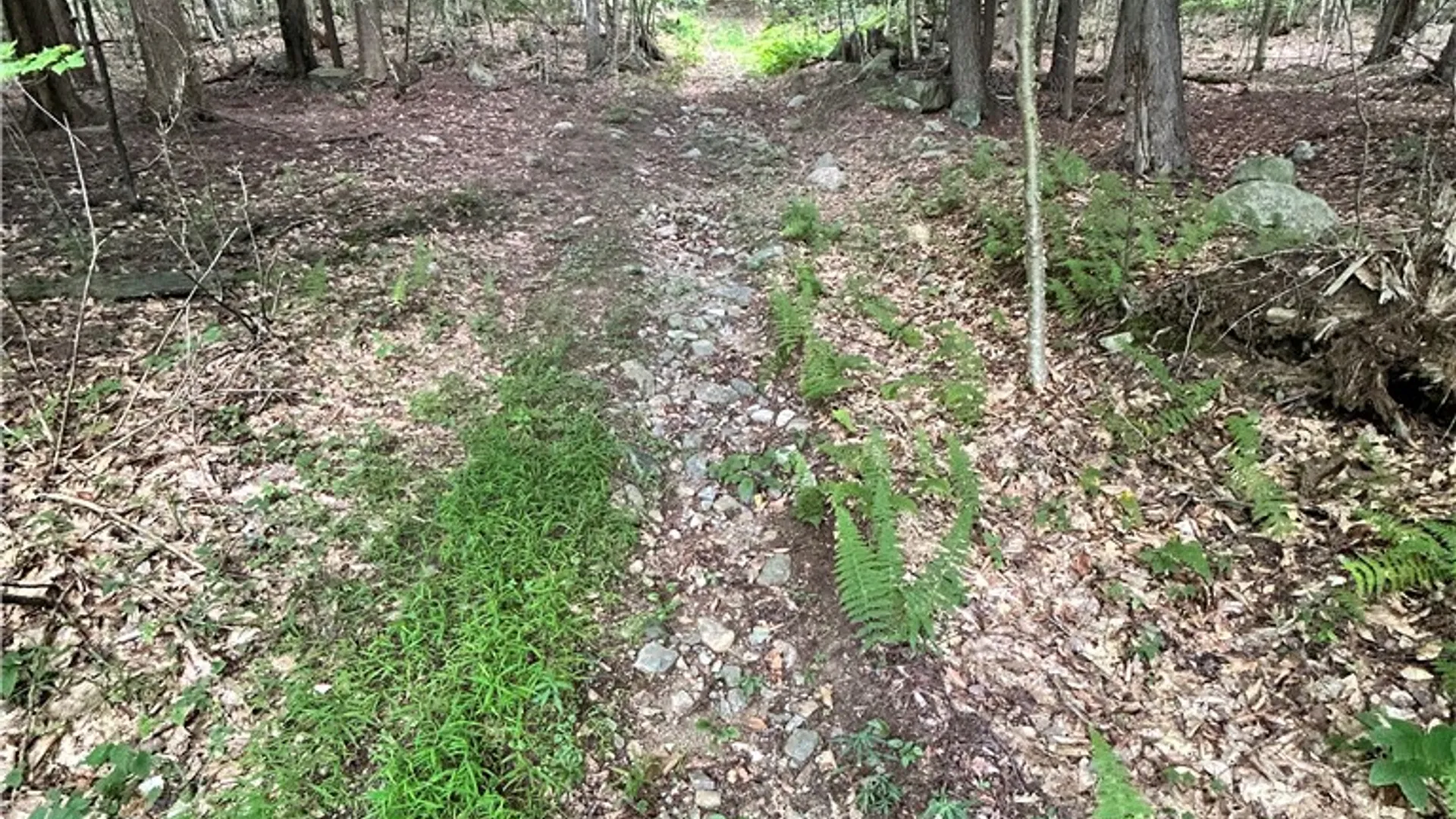 Property at 270 Collins Gifford Valley Road, Northampton, NY 12134 11