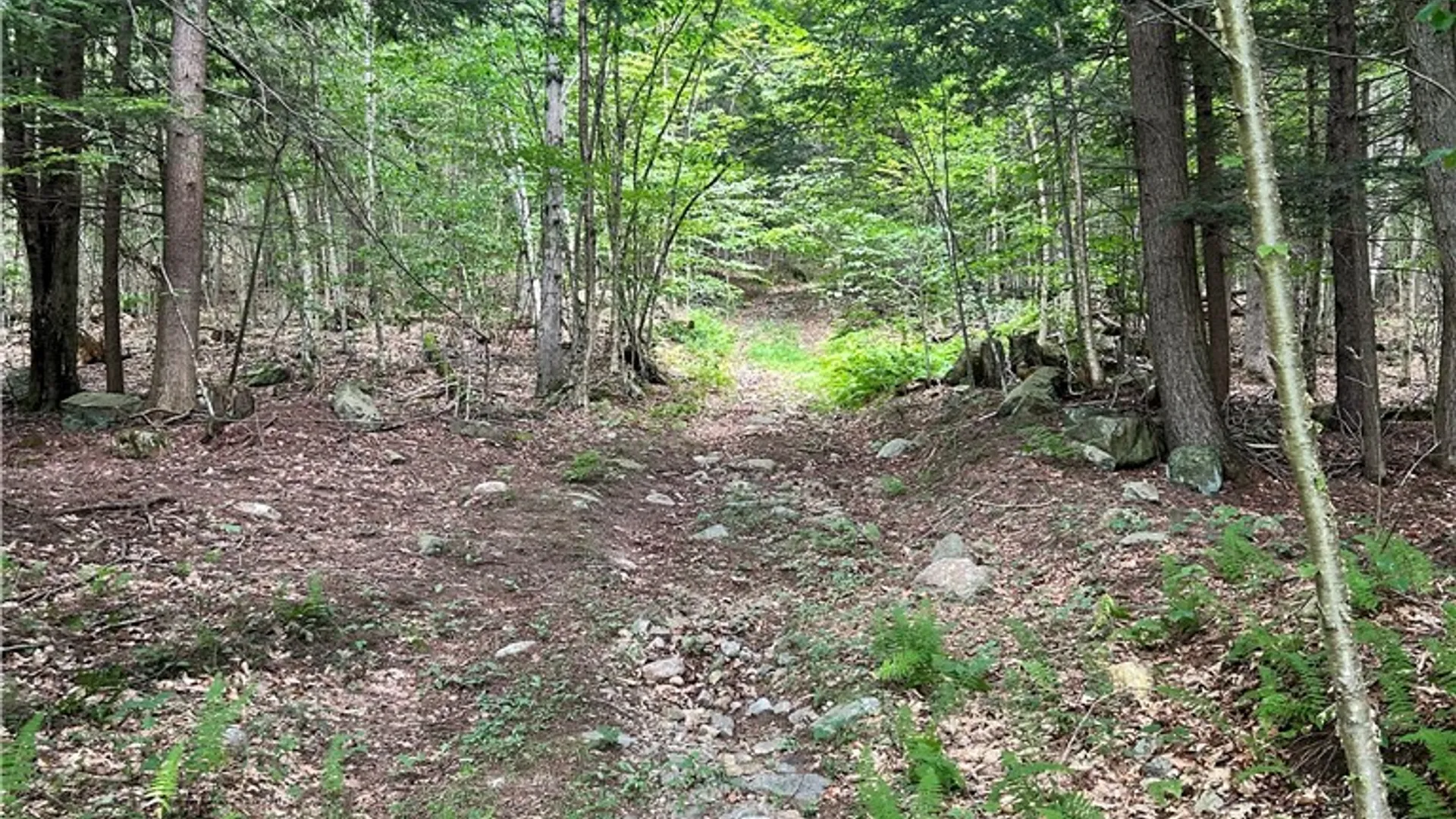 Property at 270 Collins Gifford Valley Road, Northampton, NY 12134 12