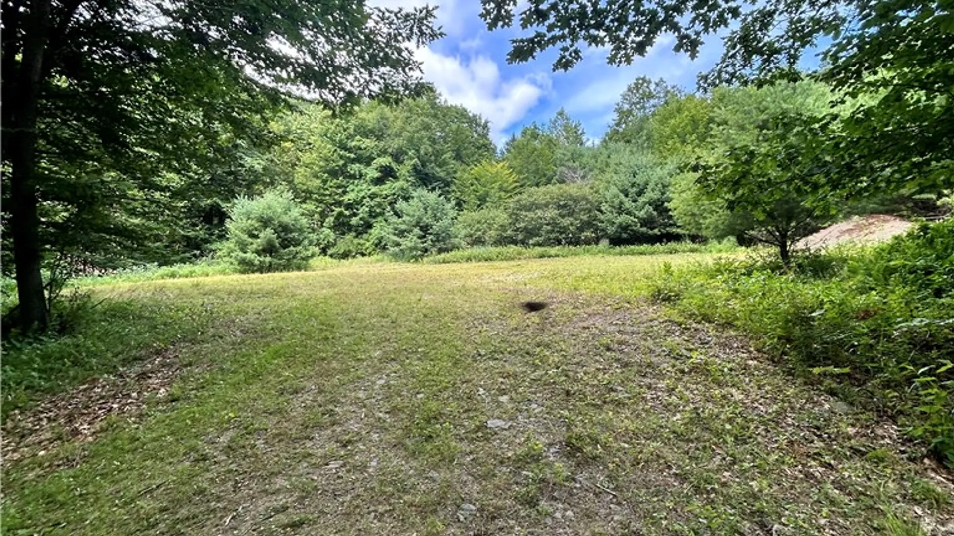 Property at 270 Collins Gifford Valley Road, Northampton, NY 12134 16