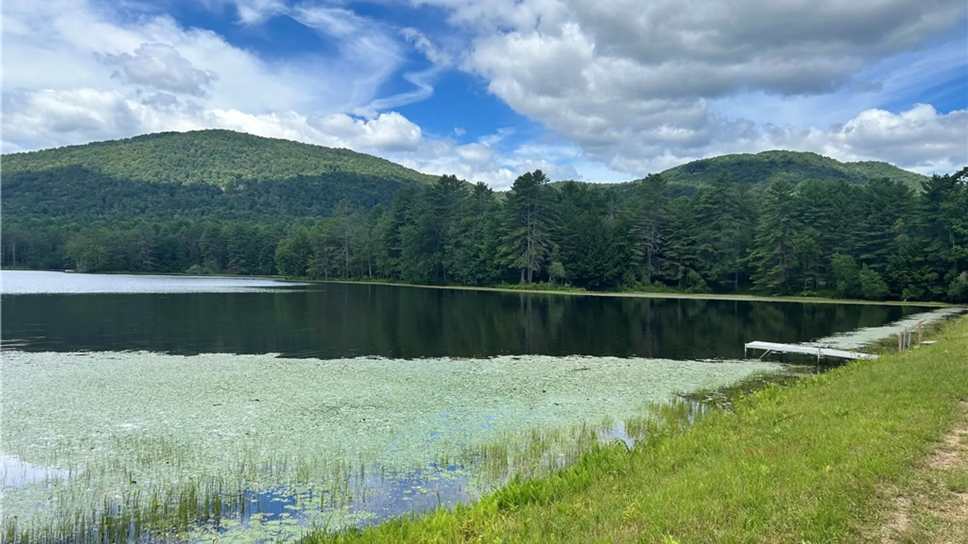 Property at 270 Collins Gifford Valley Road, Northampton, NY 12134 26