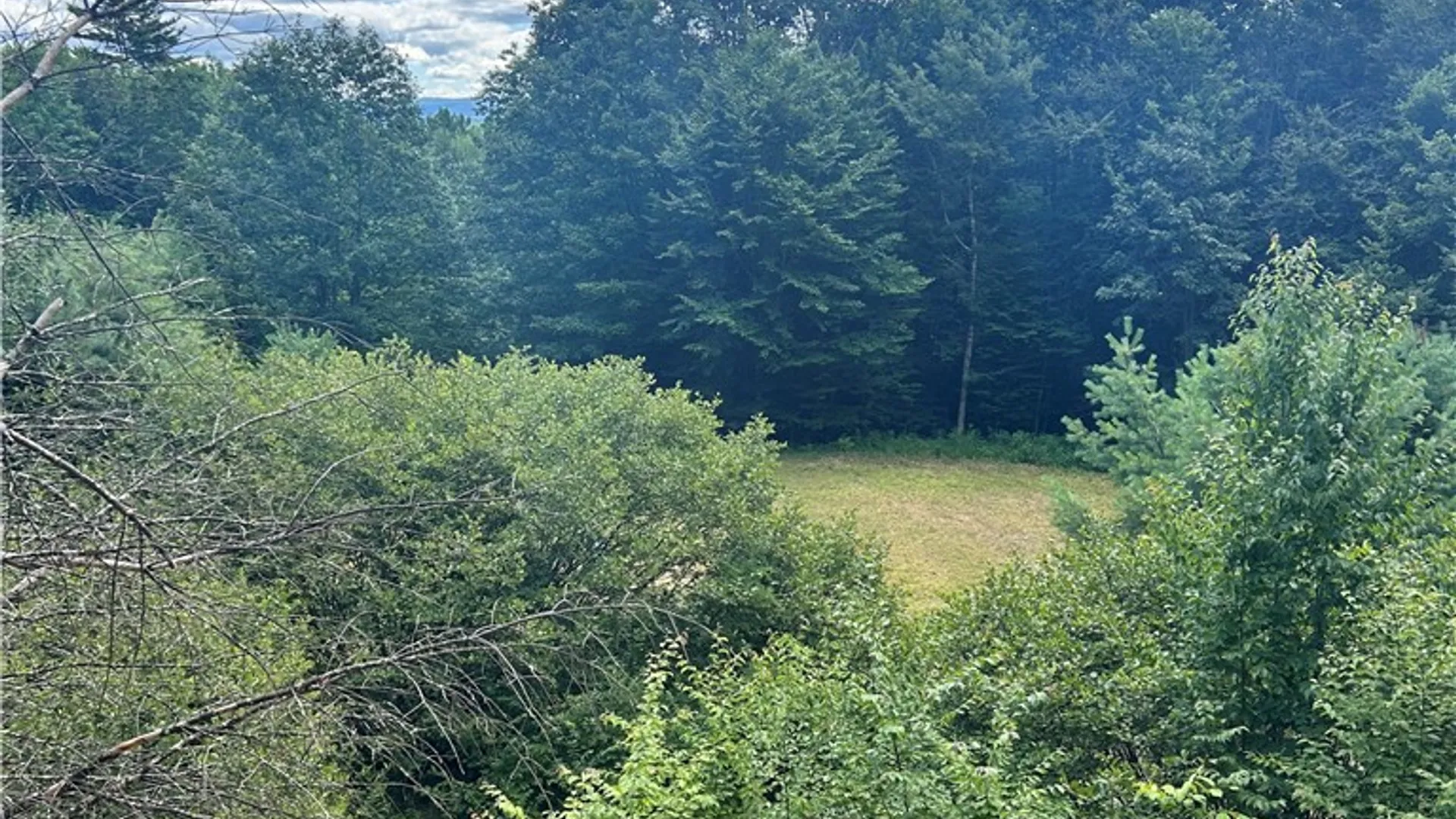 Property at 270 Collins Gifford Valley Road, Northampton, NY 12134 5