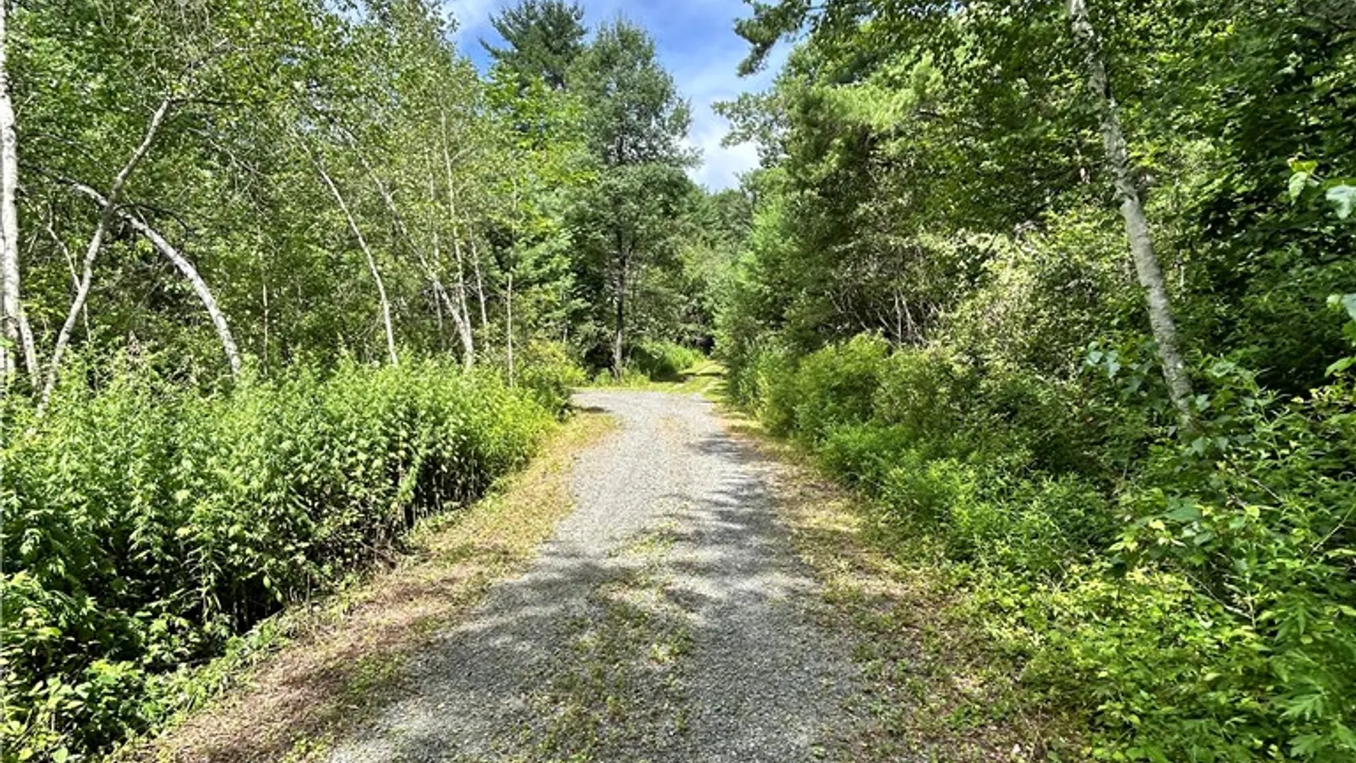 Property at 270 Collins Gifford Valley Road, Northampton, NY 12134 8