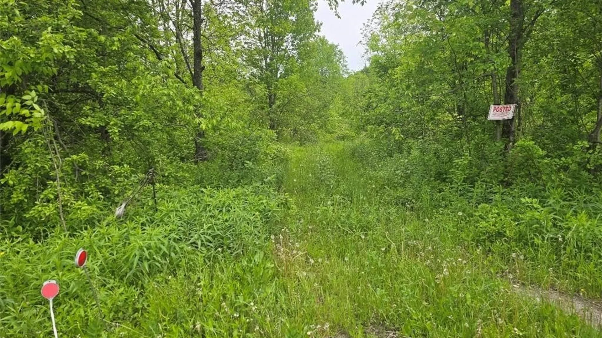 Property at 0 County Route 70, Florence, NY 13316 10