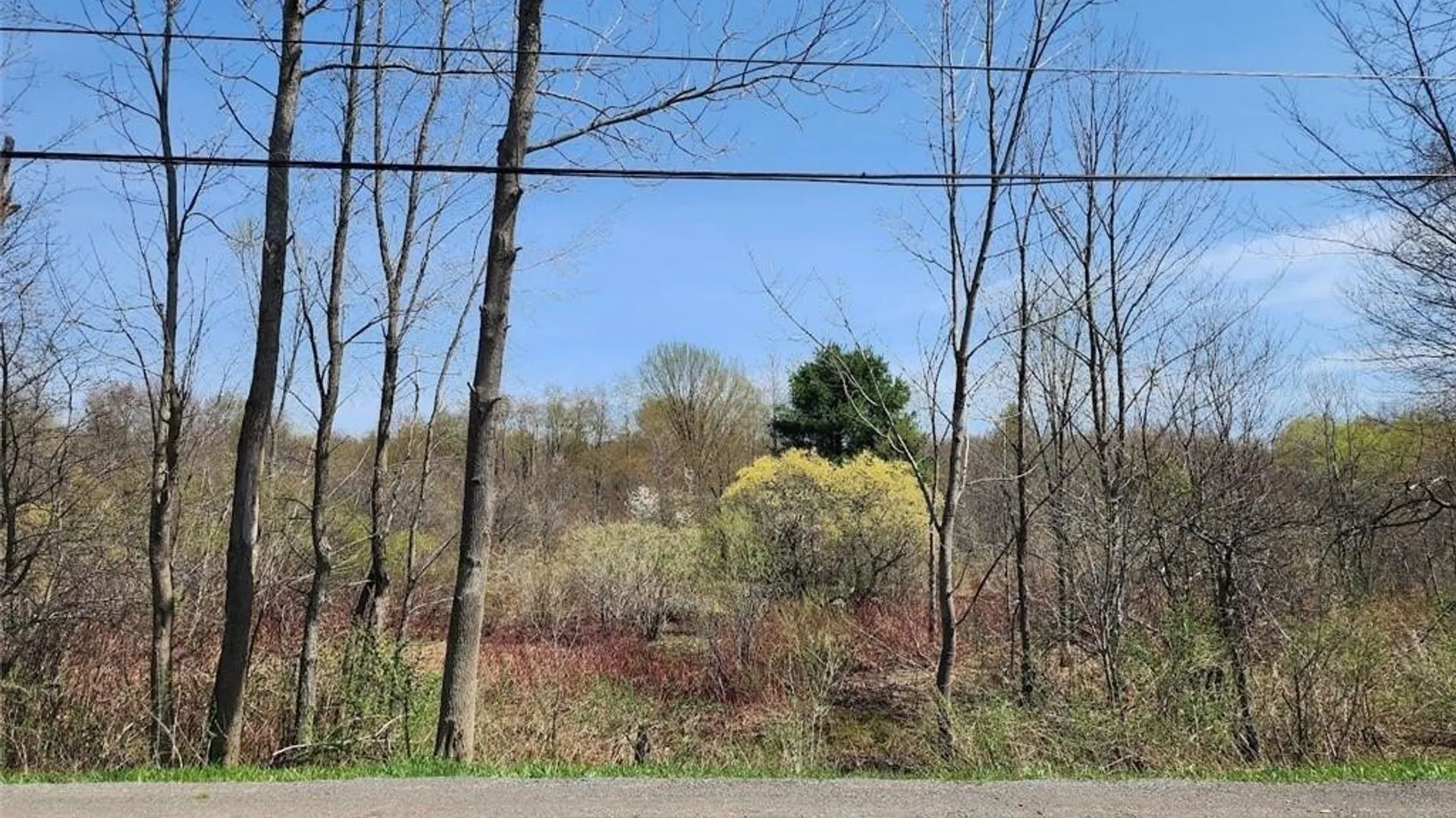 Property at 0 County Route 70, Florence, NY 13316 4