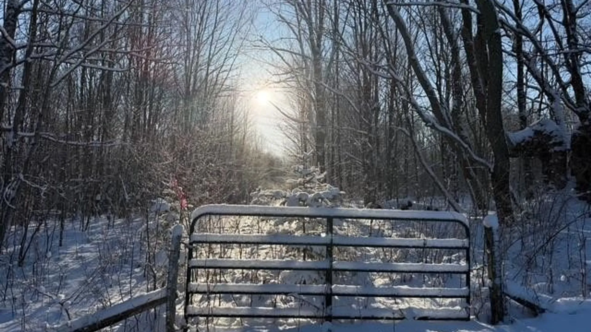 Property at 0 County Route 70, Florence, NY 13316 7