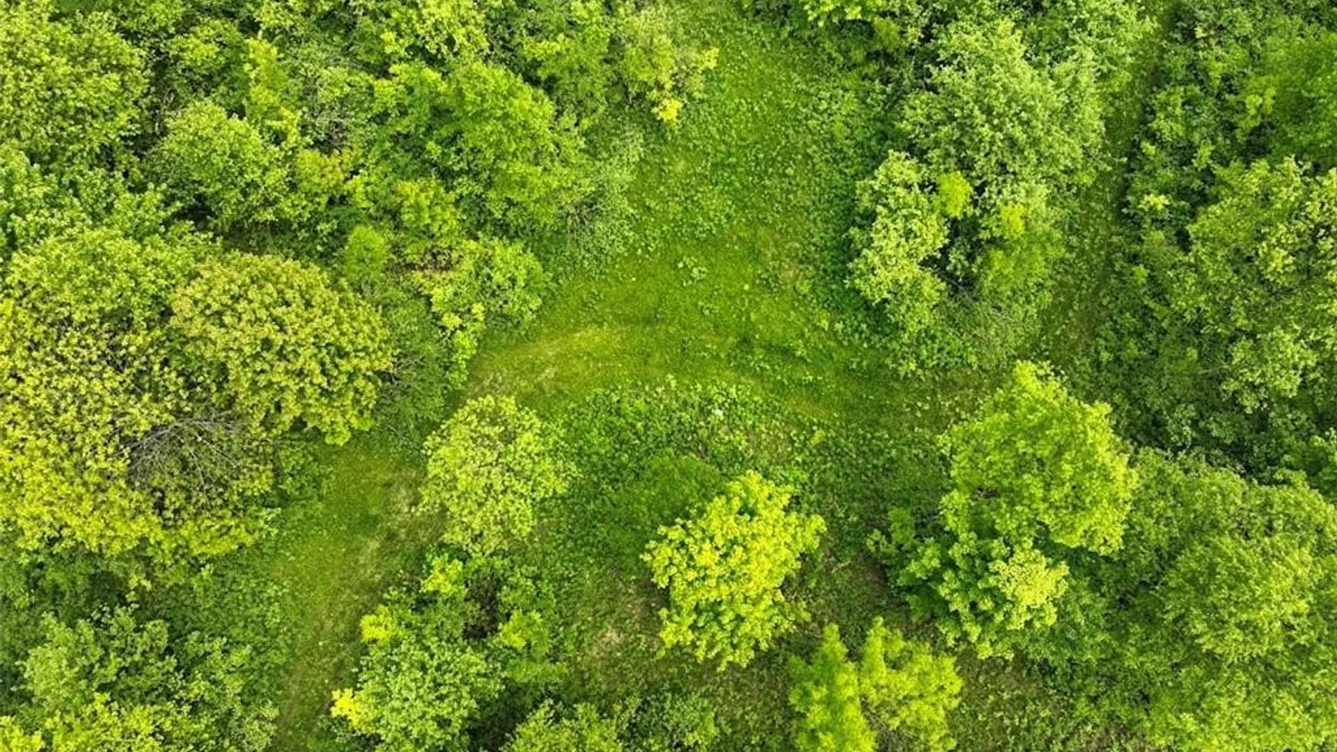 Property at 0 County Route 70, Florence, NY 13316 9