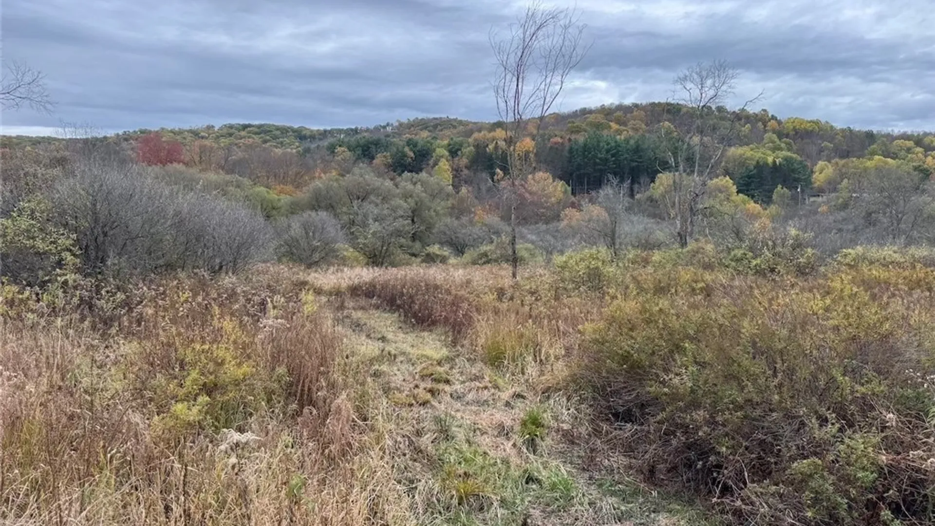 Property at Portville Obi Road, Genesee, NY 14770 11