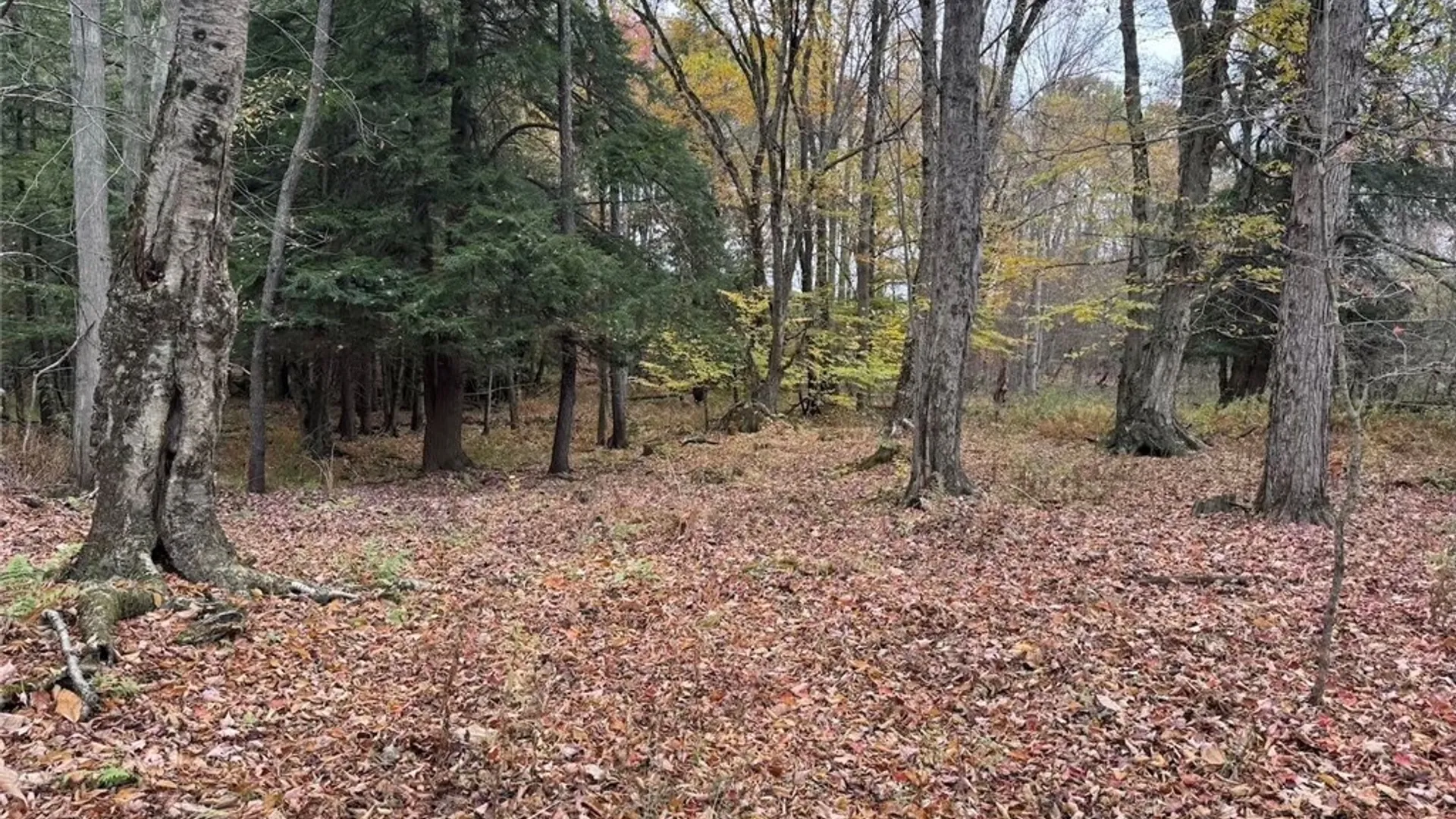 Property at Portville Obi Road, Genesee, NY 14770 15