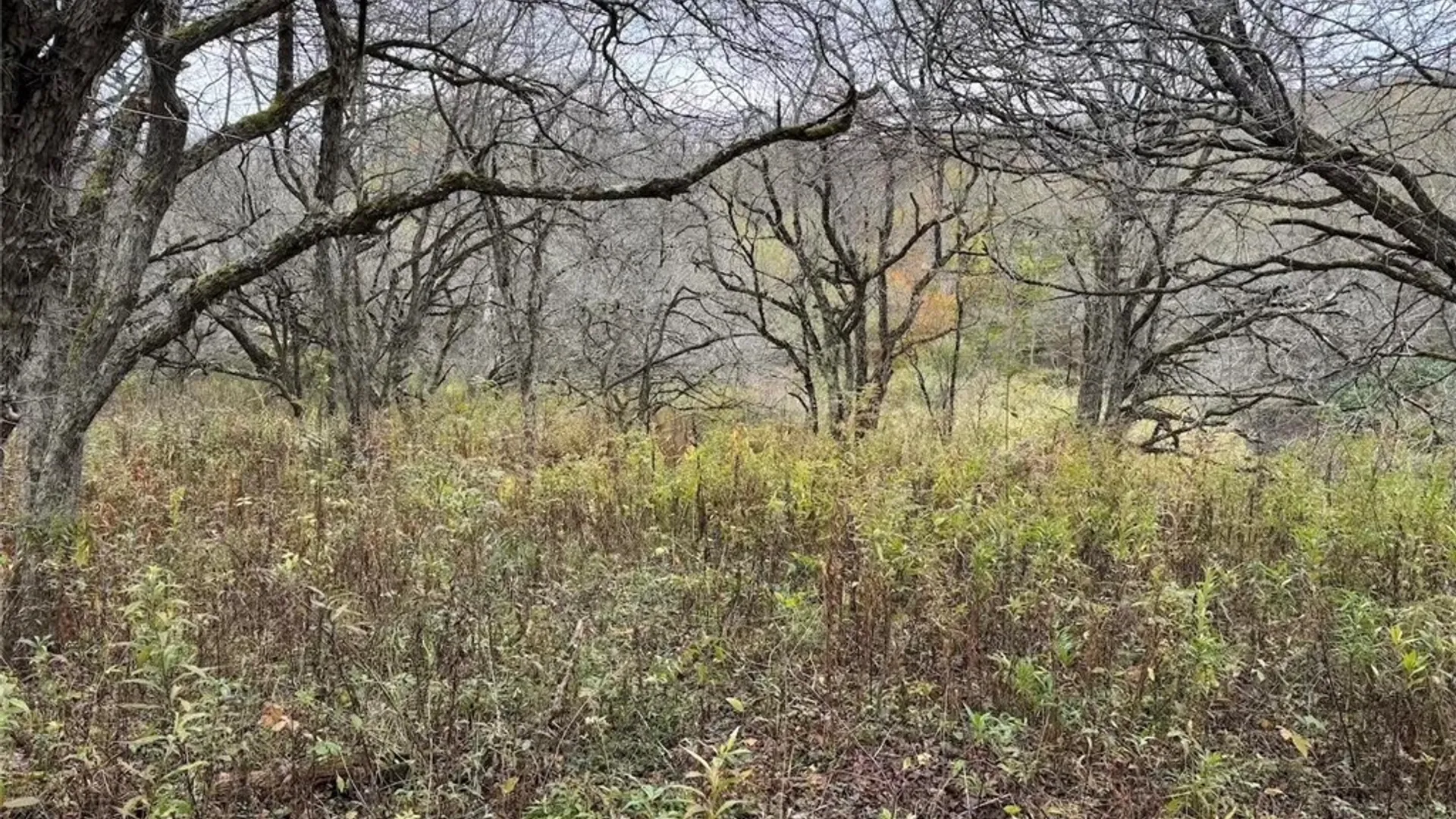 Property at Portville Obi Road, Genesee, NY 14770 17