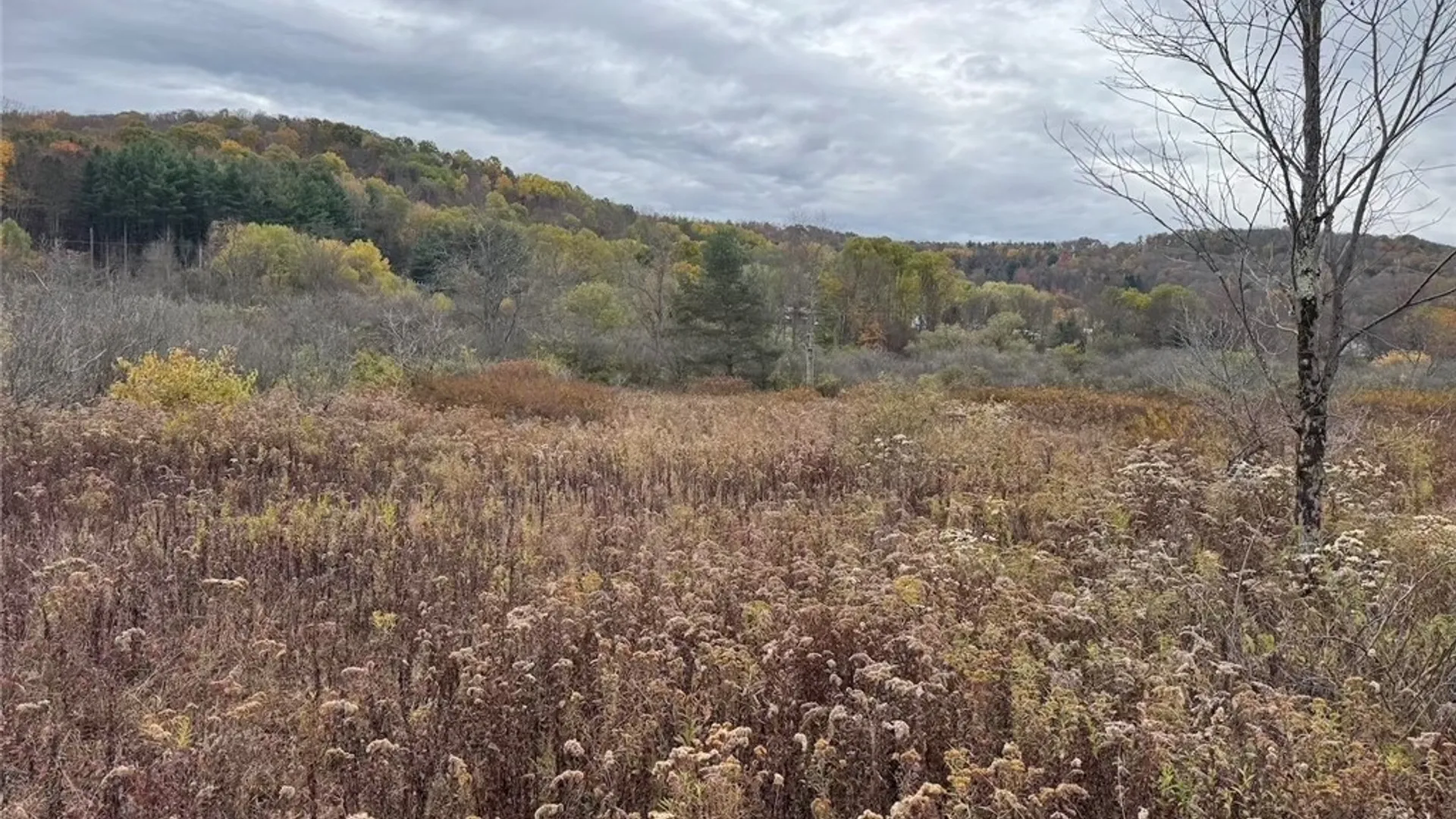 Property at Portville Obi Road, Genesee, NY 14770 19